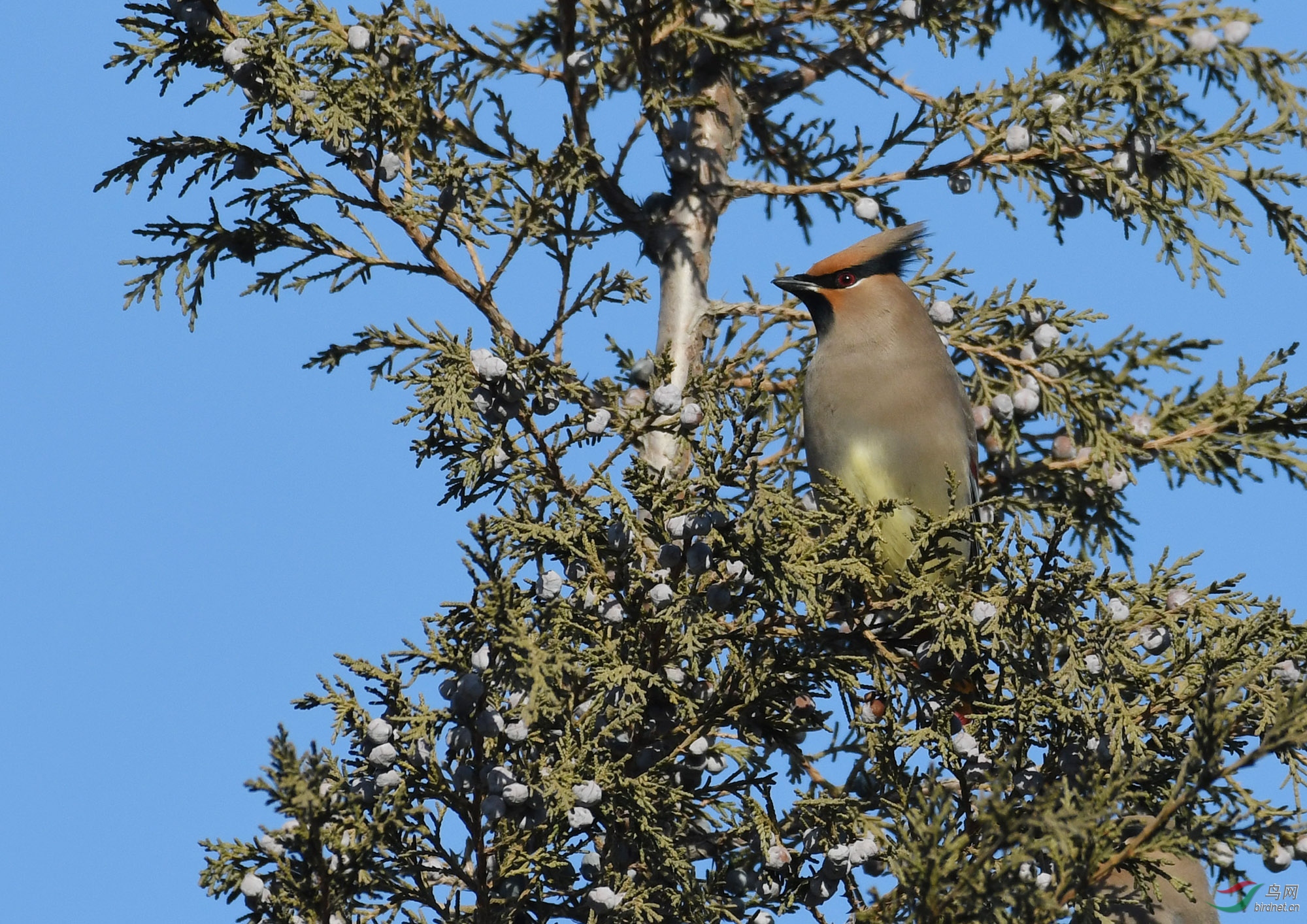 ������Ӱ 1349����.jpg