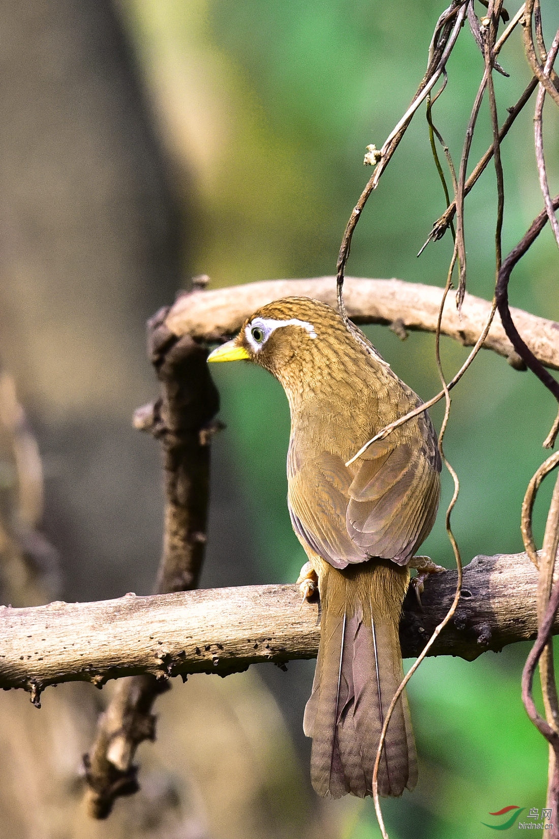 DSC_0715.JPG