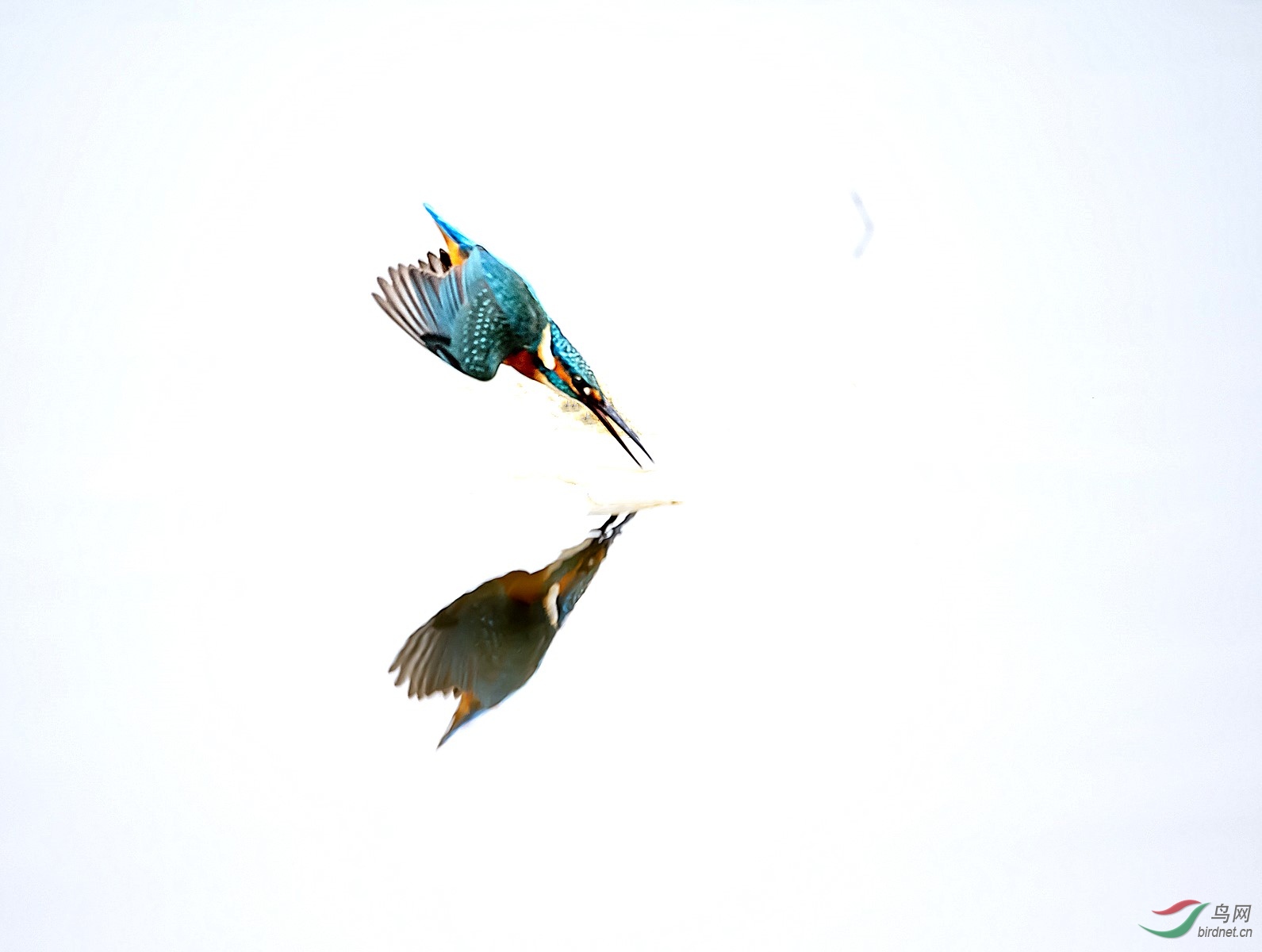 DSC_1668_����.jpg