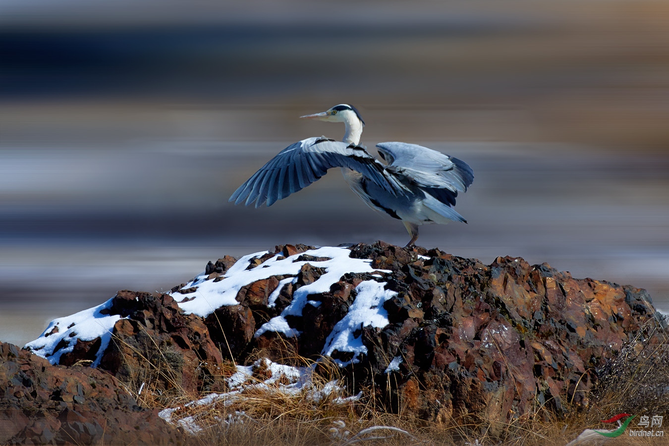 9K0A9634_1-W.jpg