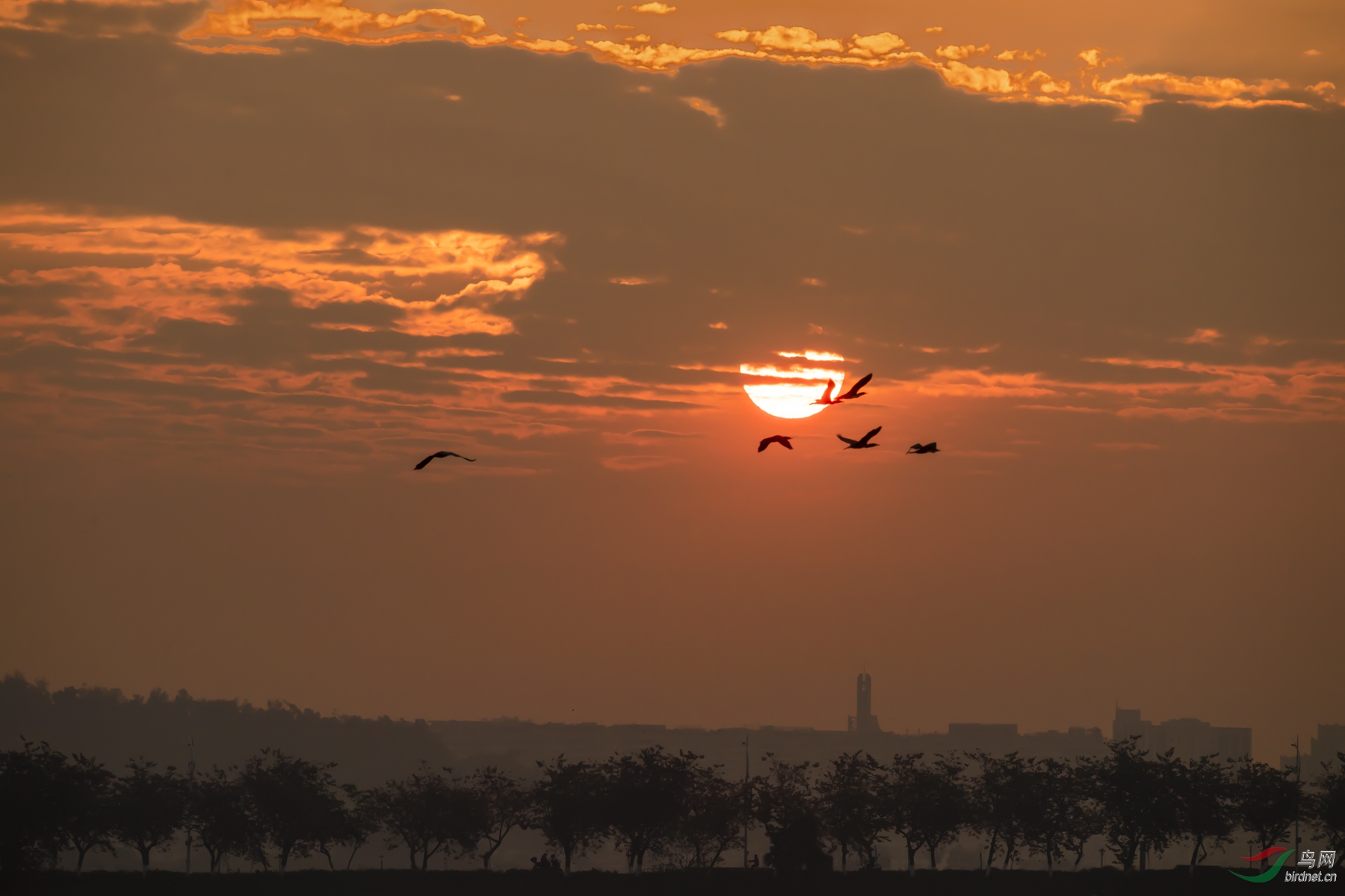 DSC_0983_1.jpg