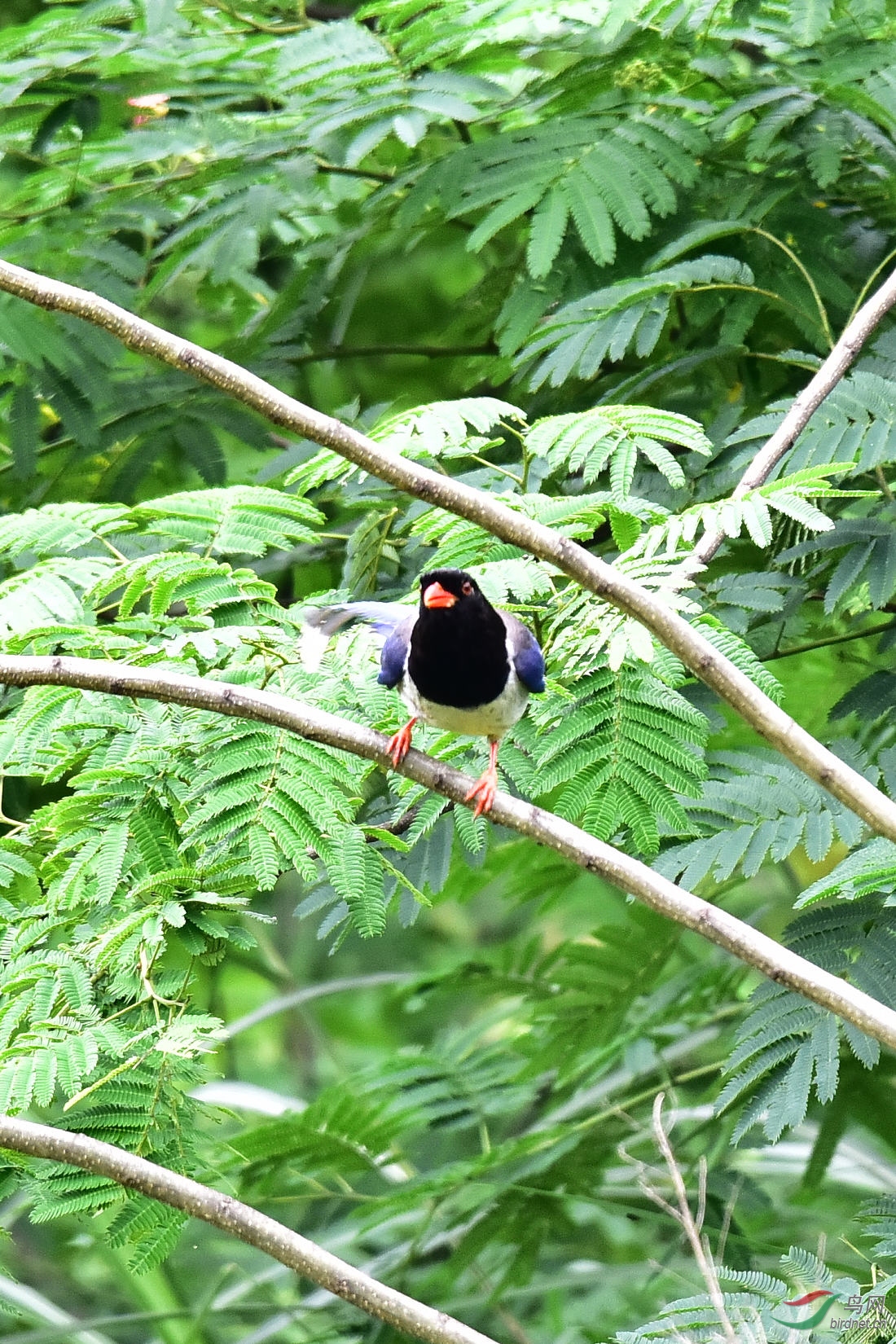 DSC_1147.JPG
