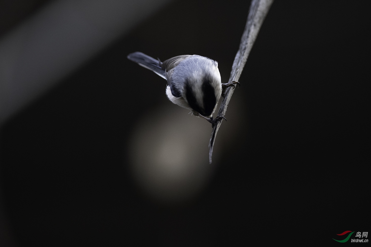 DSC_5025.jpg