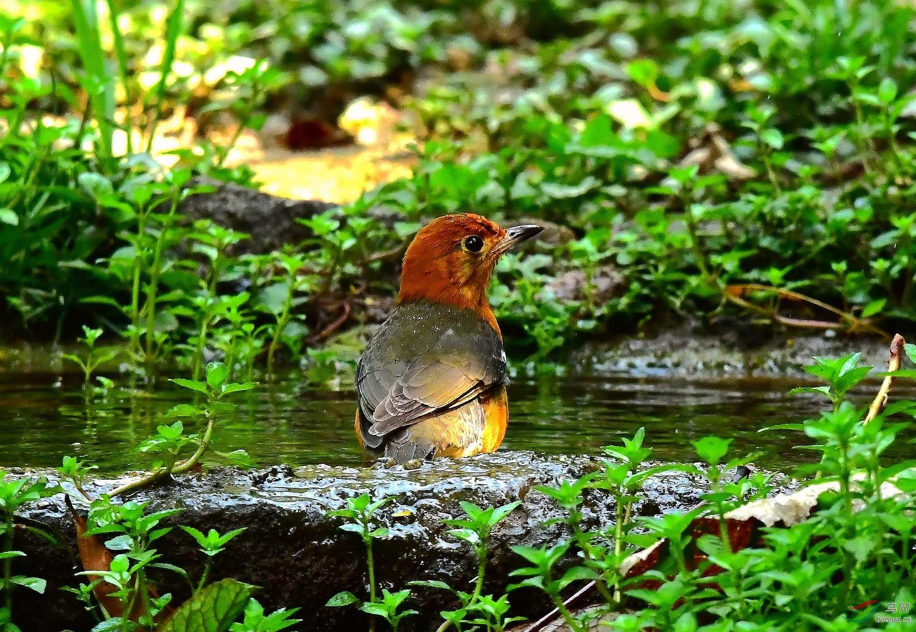 DSC_5828_����.jpg