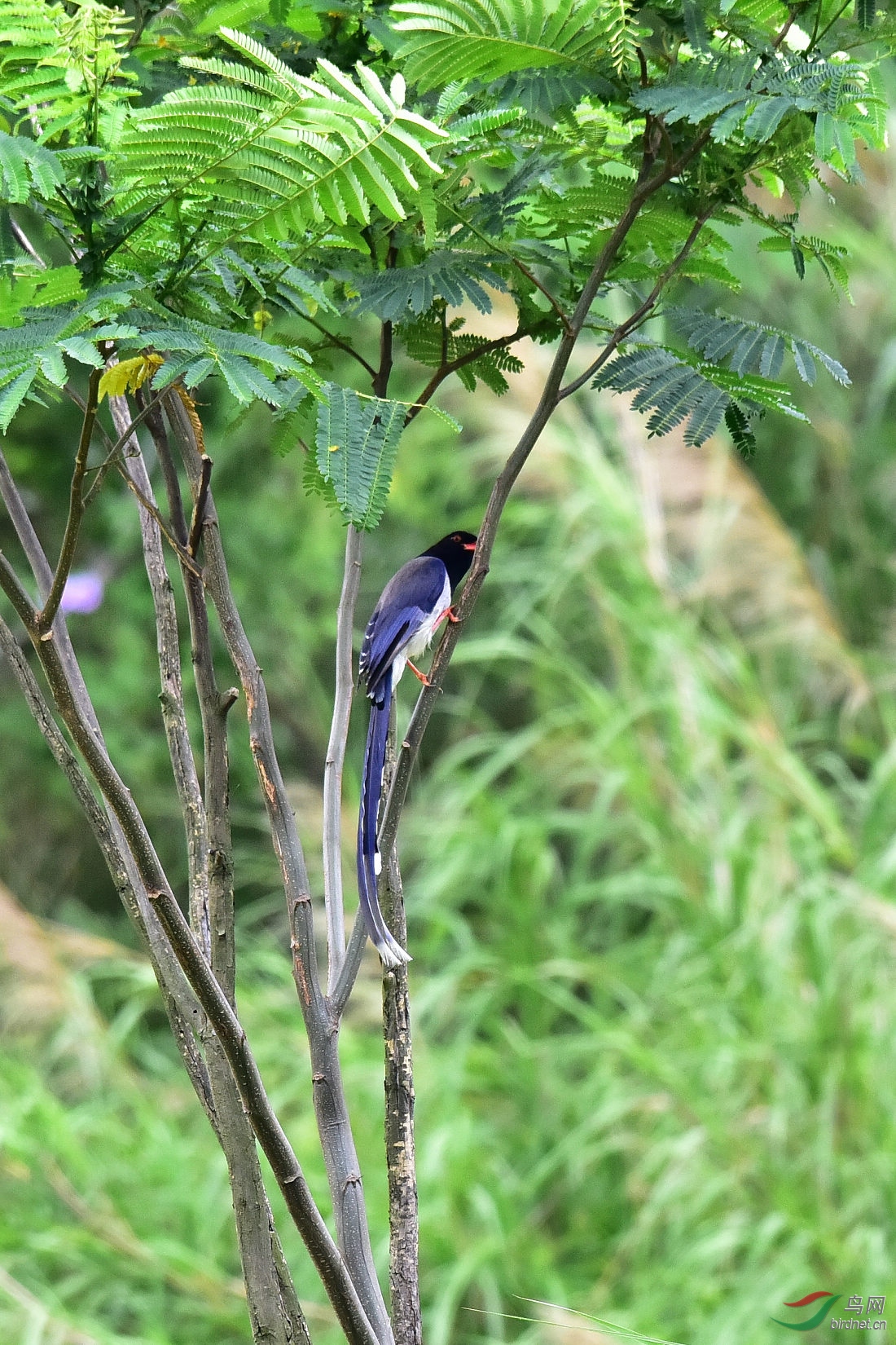 DSC_1156.JPG