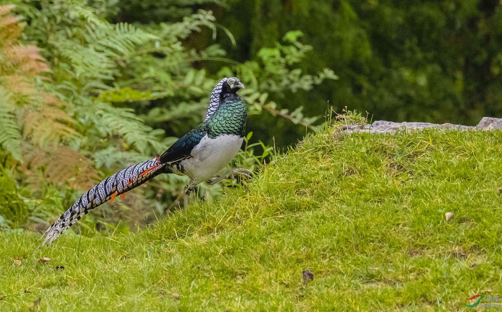 3S5A4077   02������������������.jpg