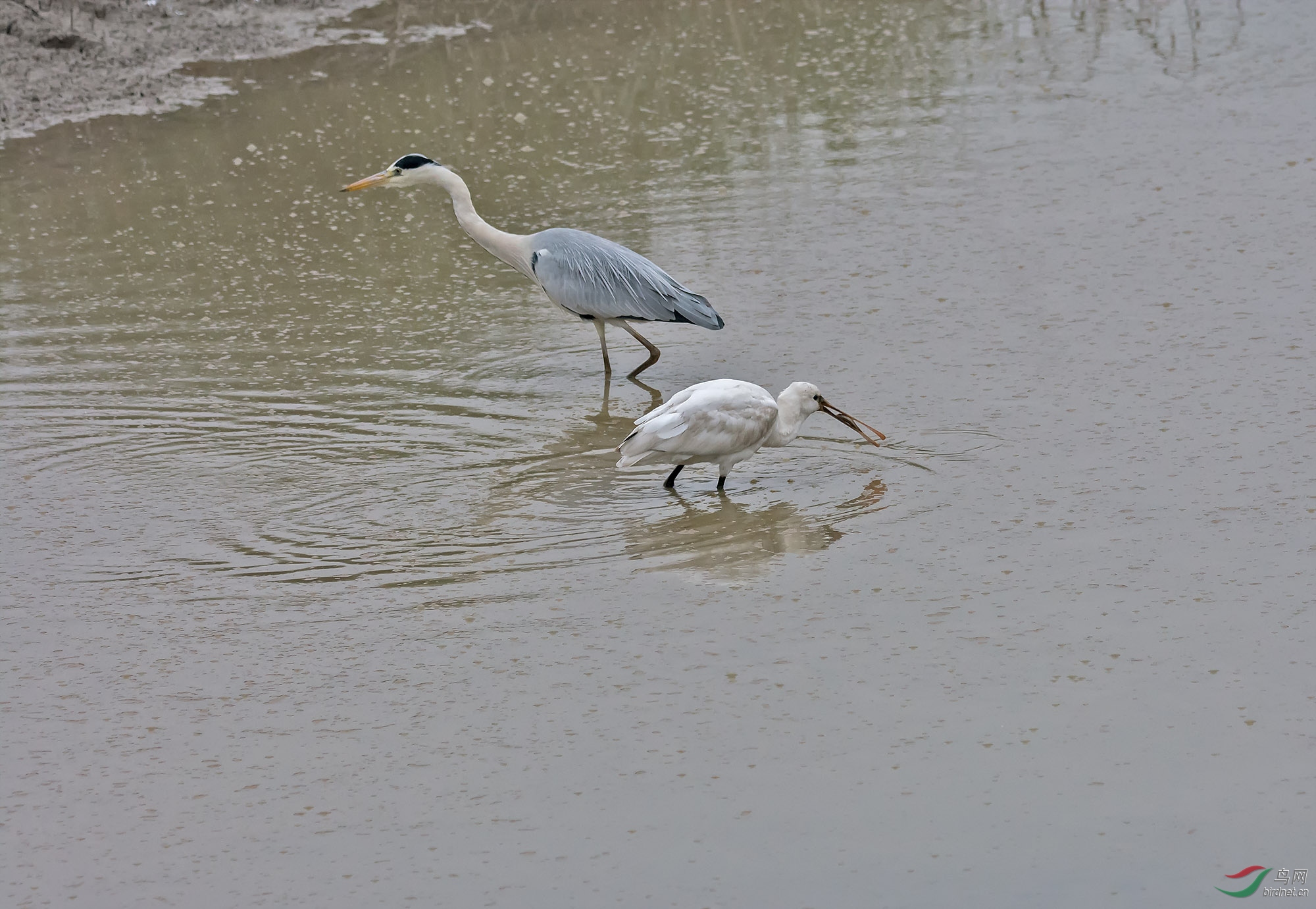 DSC_0143.jpg