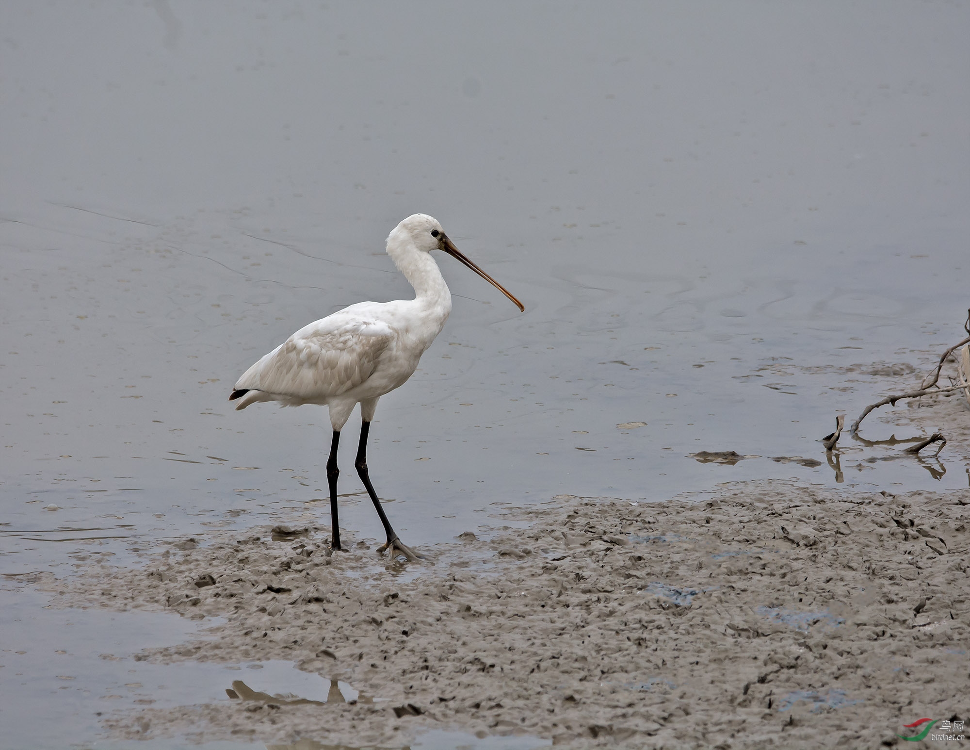 DSC_9225.jpg