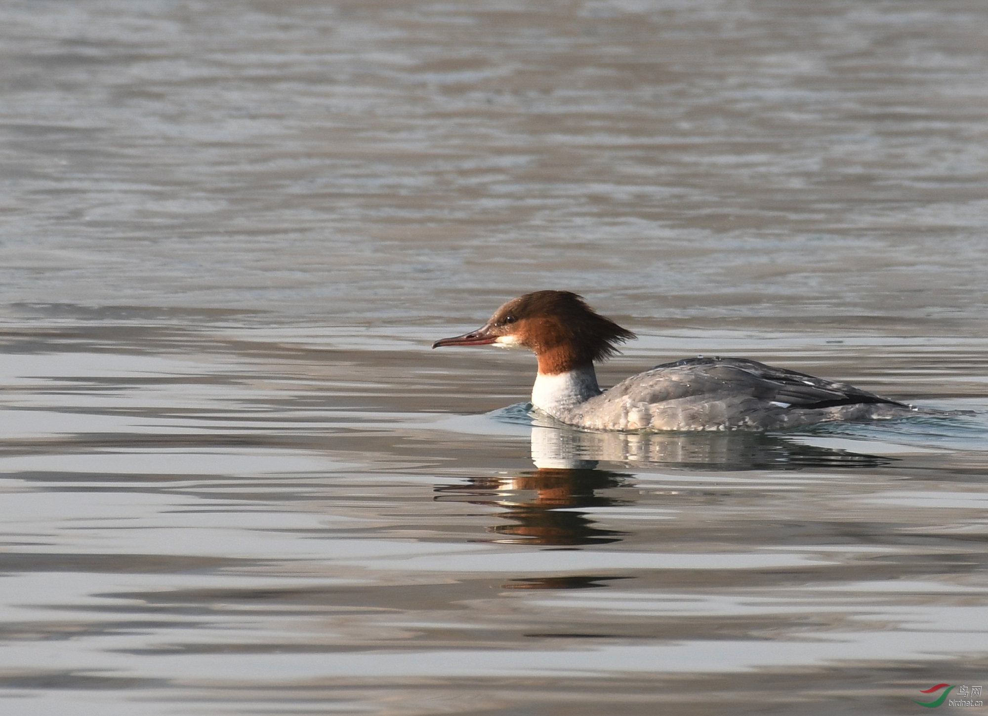 ������Ӱ 2324����.jpg