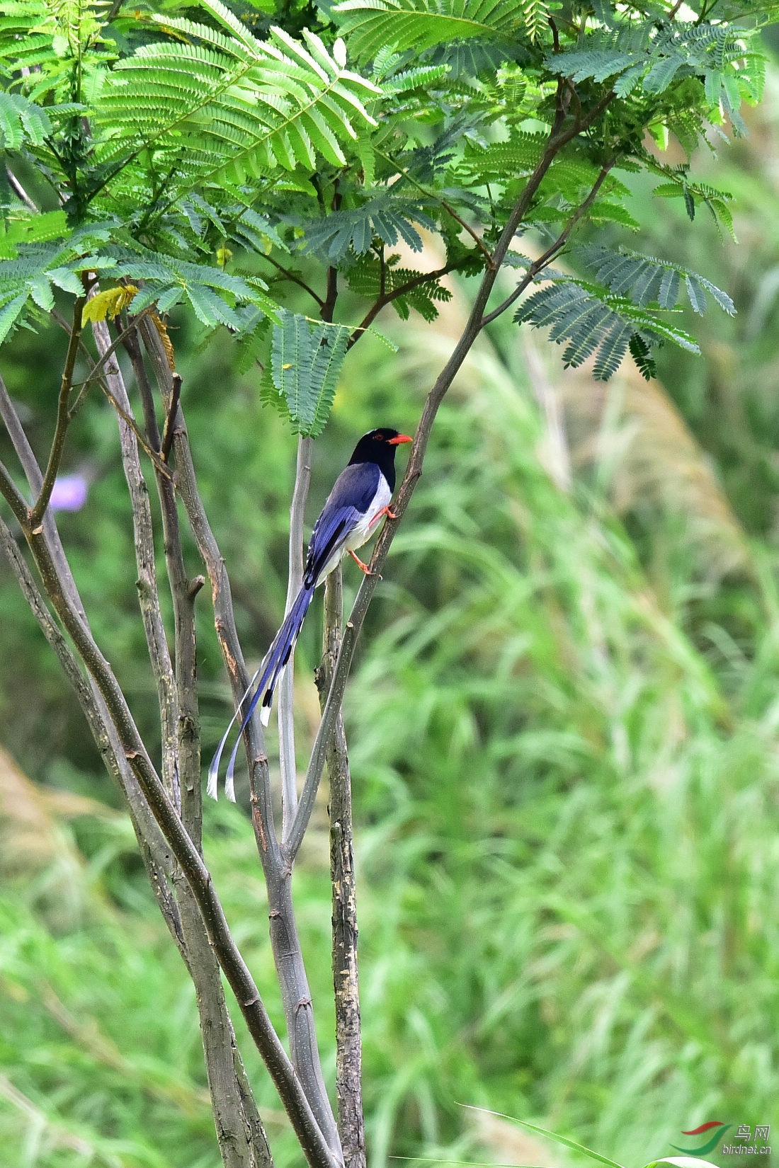 DSC_1157.JPG