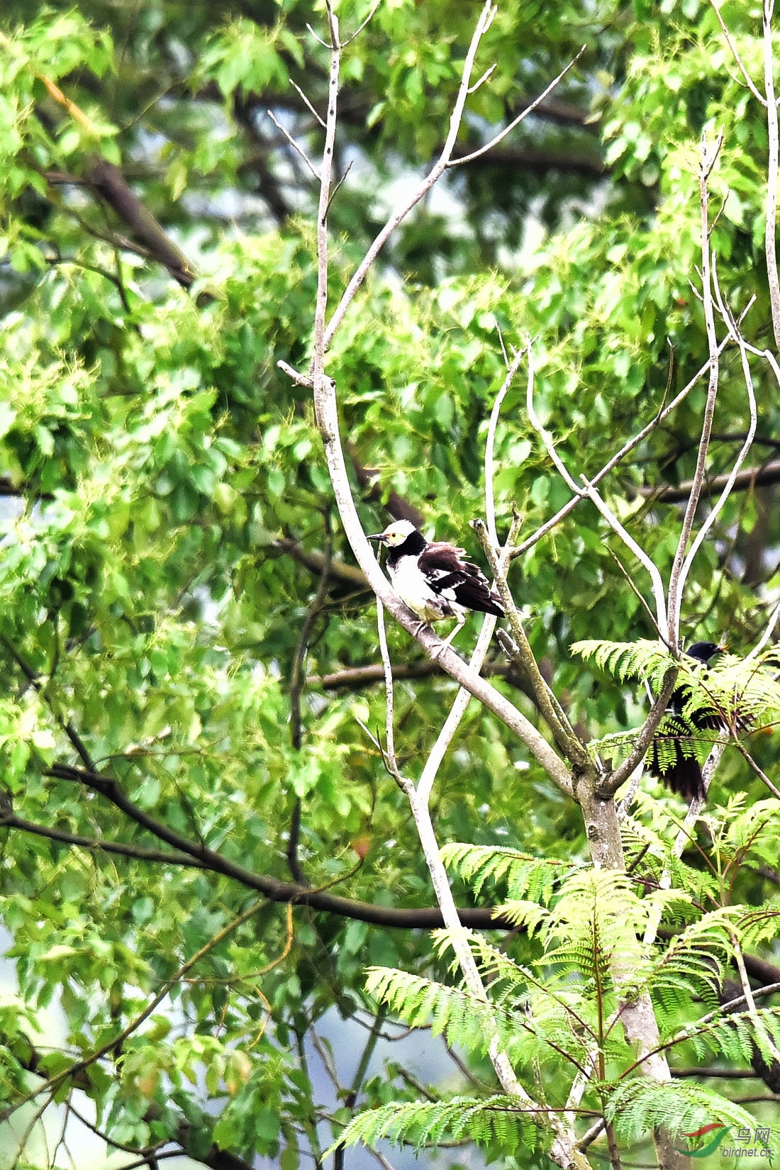 DSC_0727.JPG