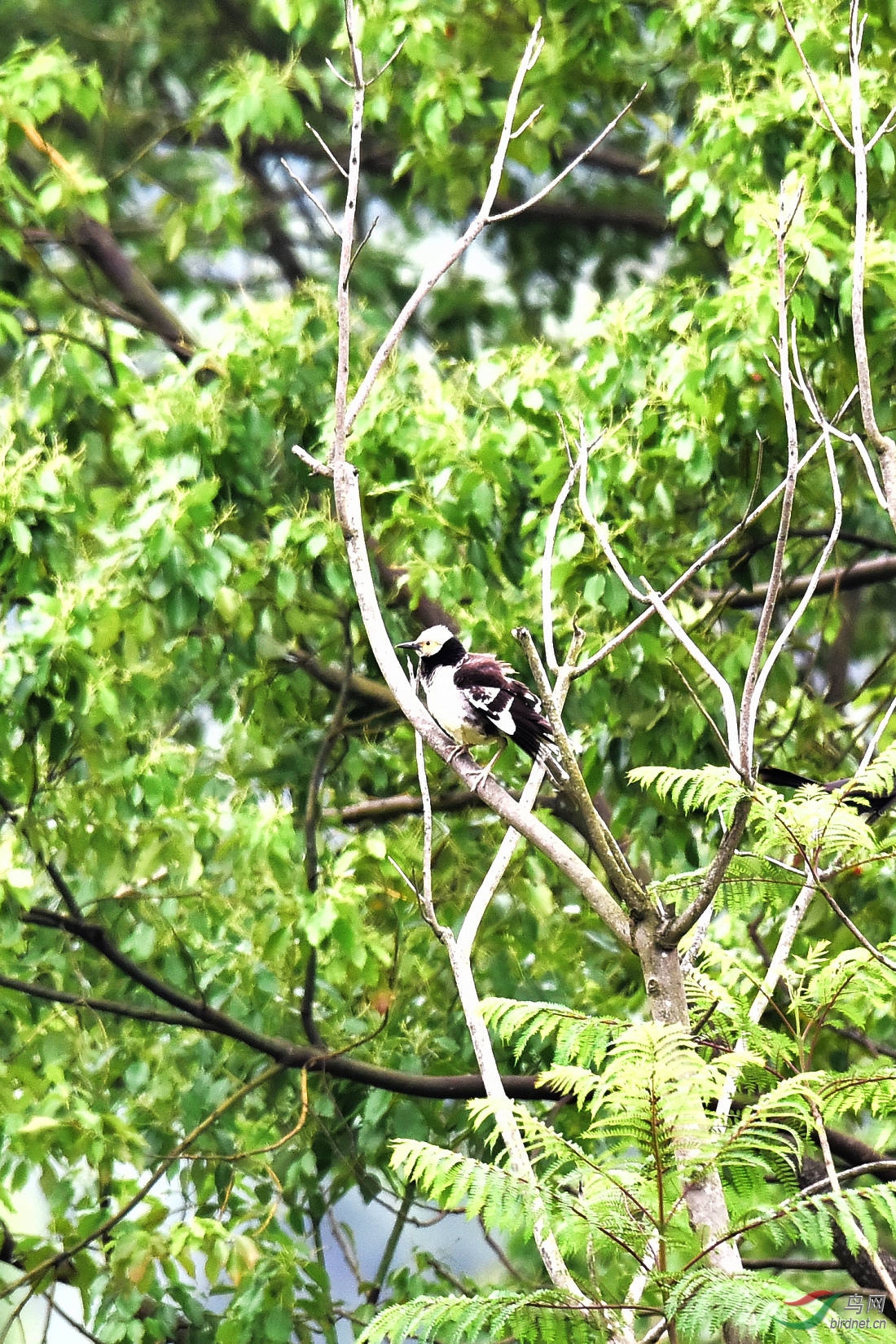 DSC_0728.JPG