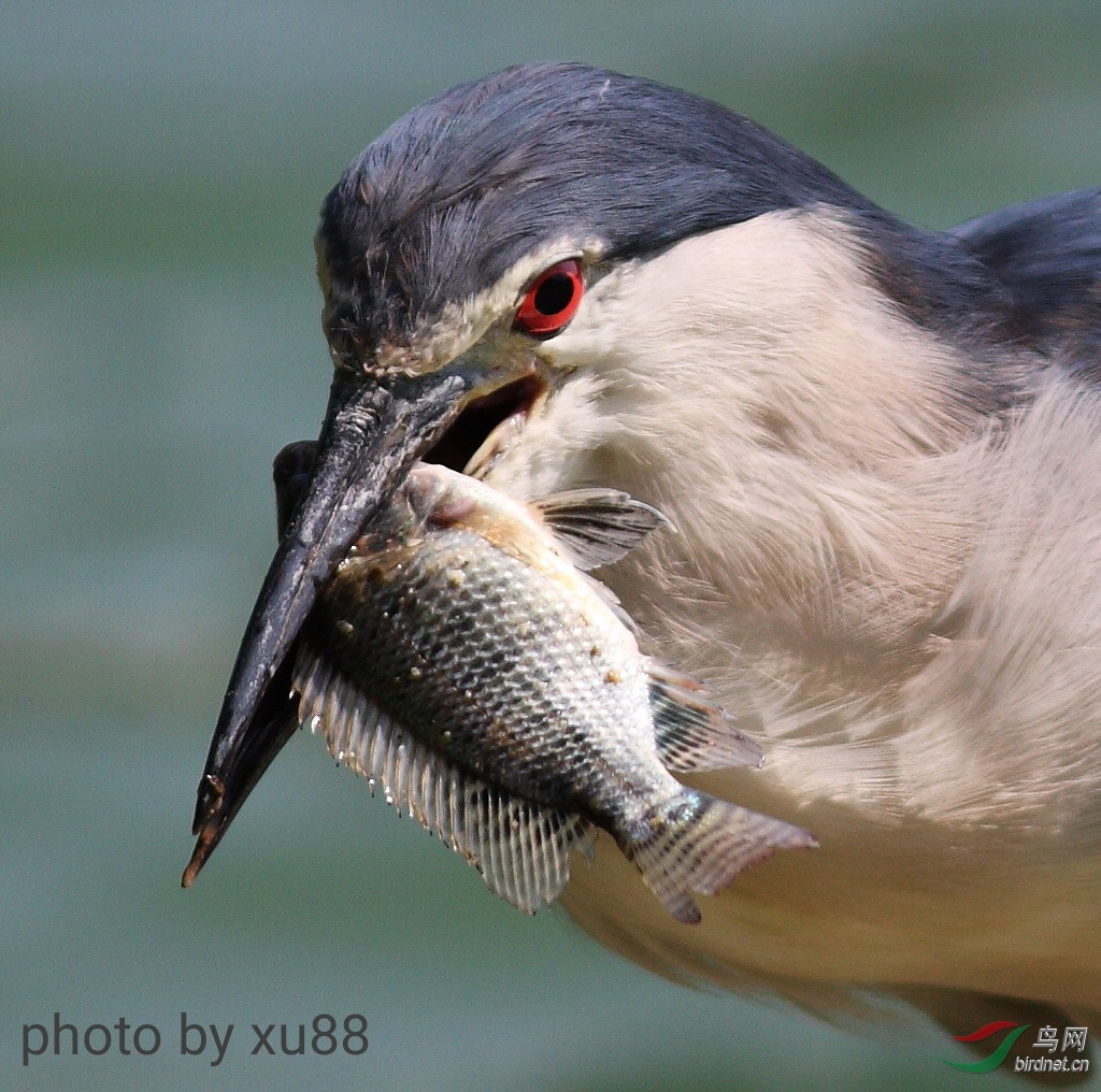 ����Լ10��