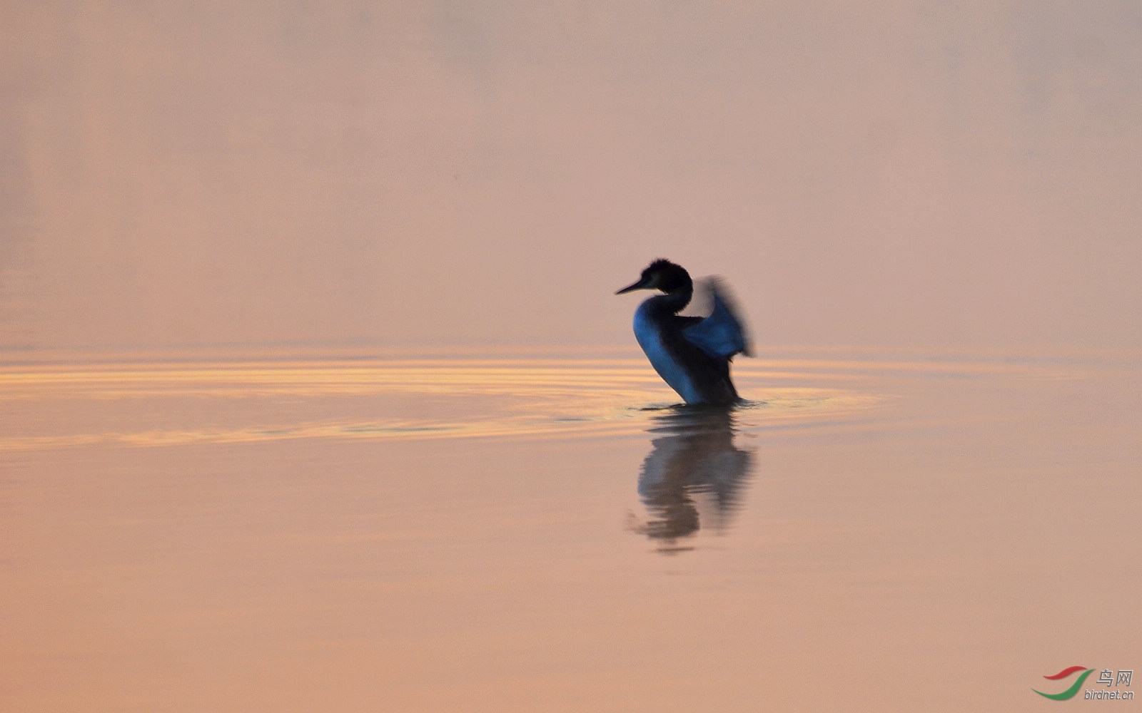DSC_0014.JPG