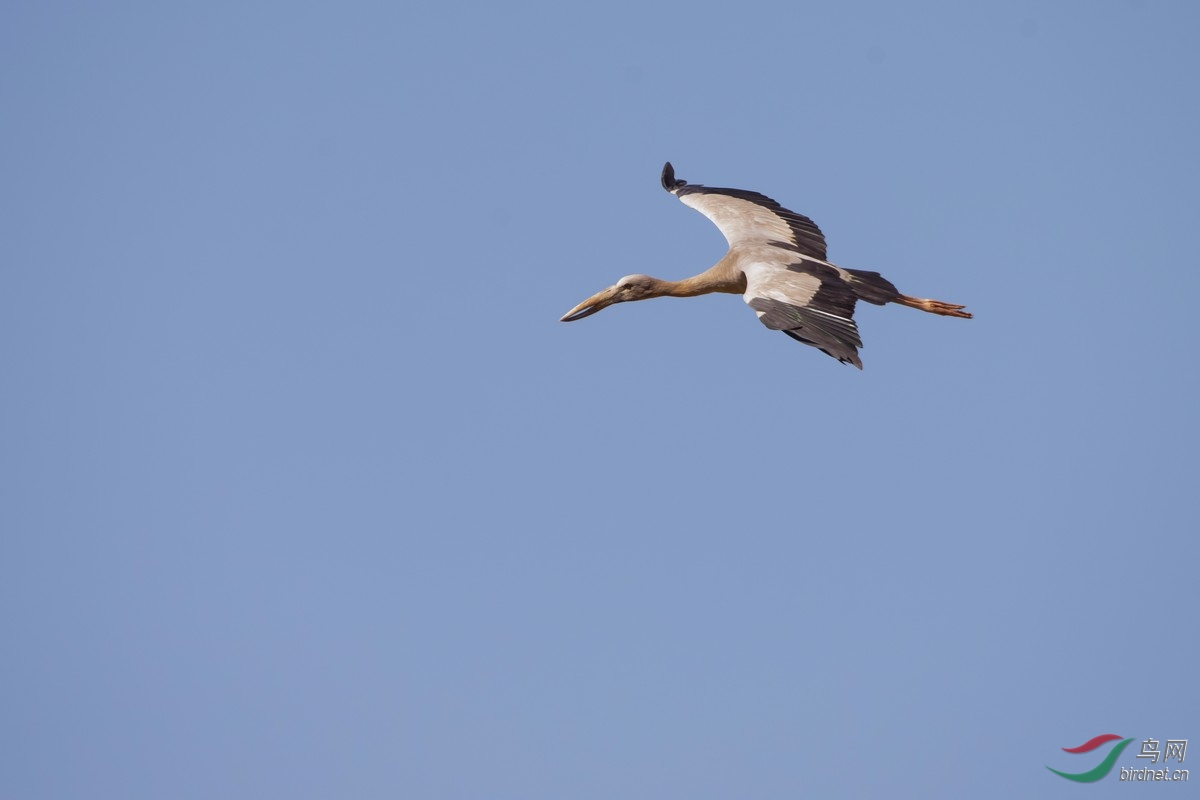 _DSC6560a.jpg