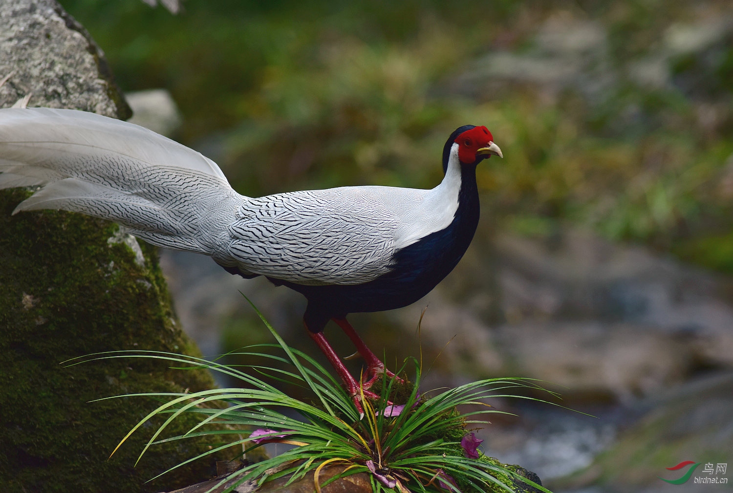 D8I_0466.jpg