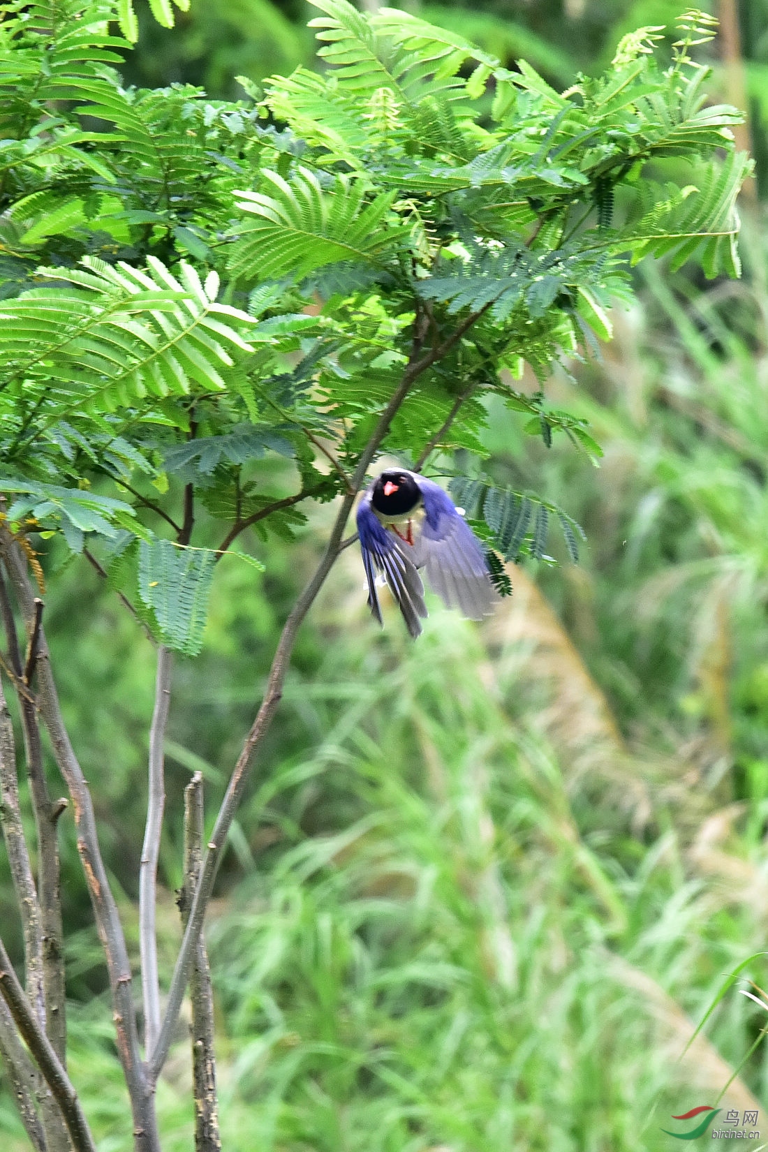 DSC_1161.JPG