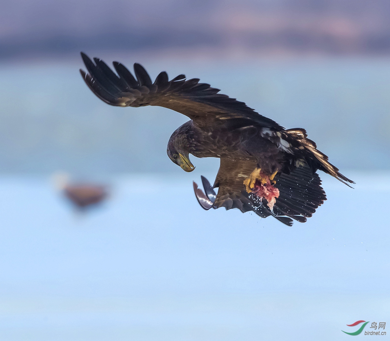 J4W_5001   �ǳԲ���    ���ɹŰ�.jpg