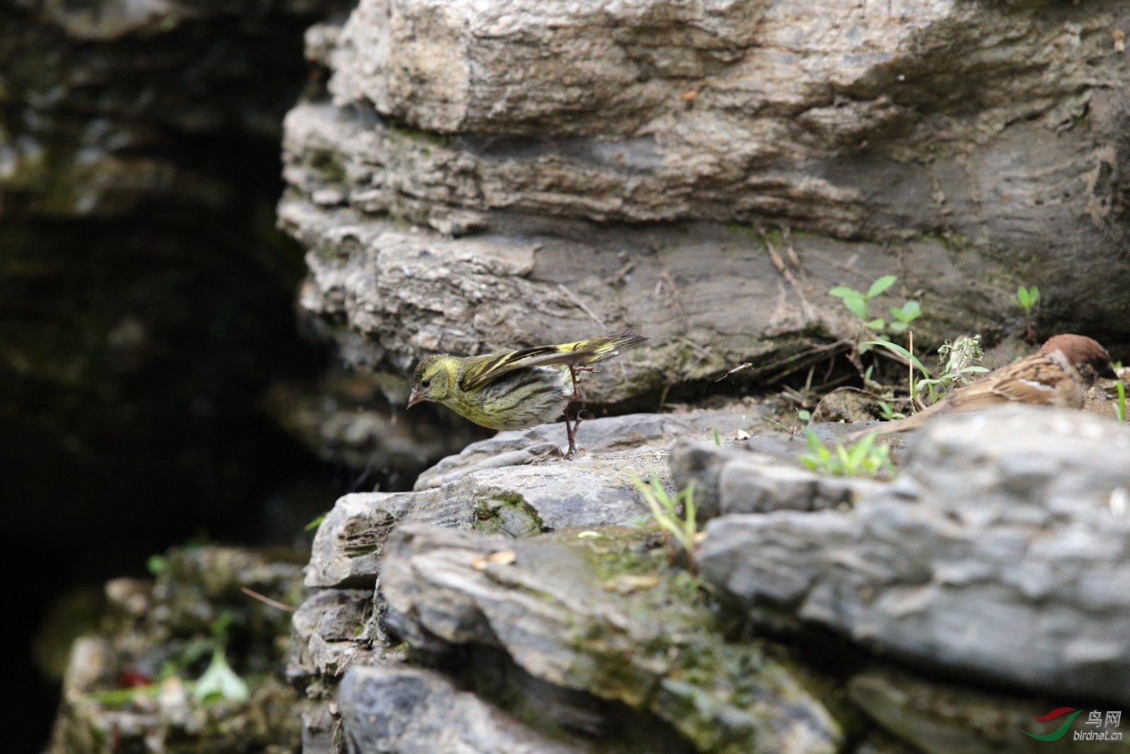 DJ4W6349_1.JPG