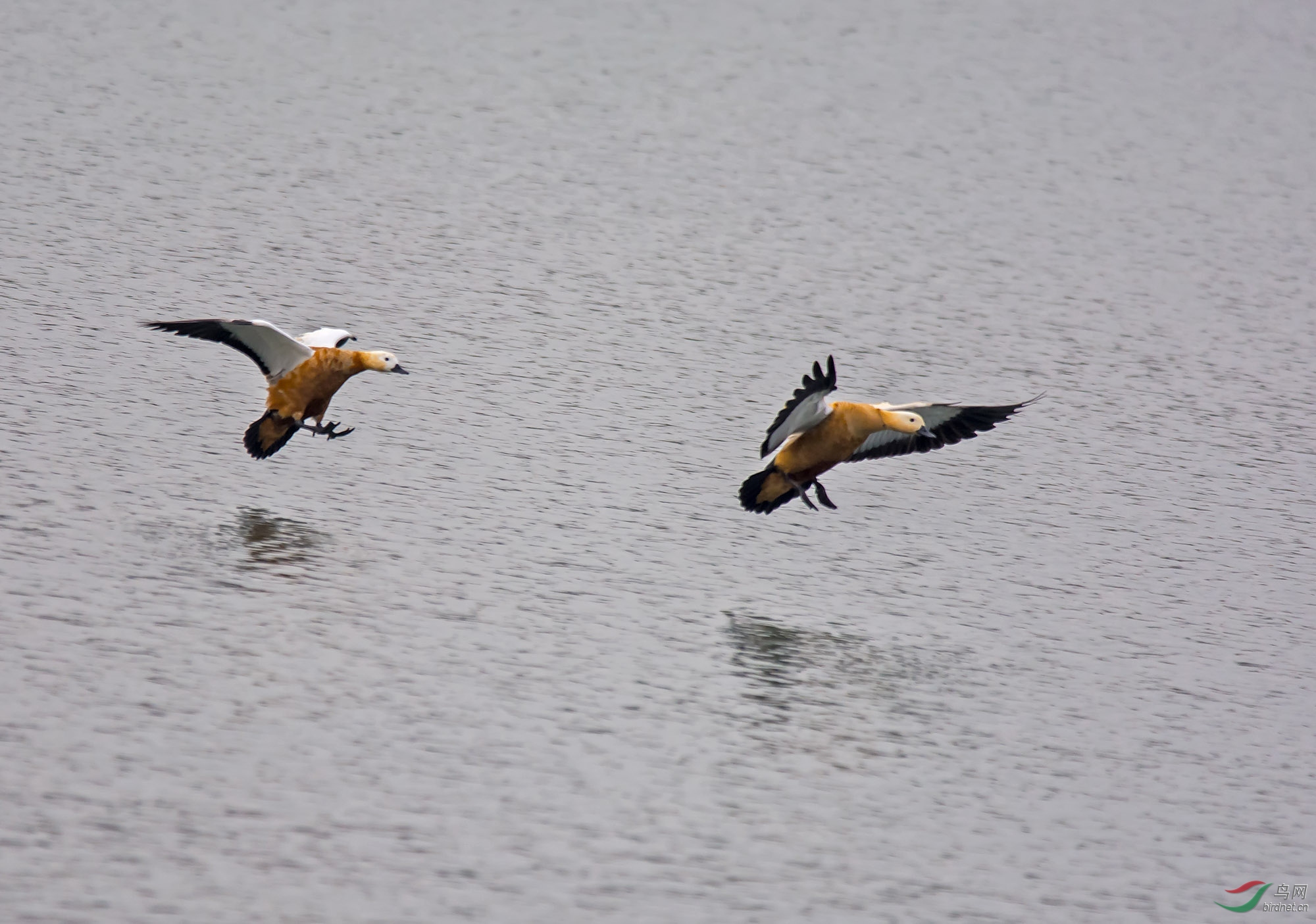 DSC_1254.jpg