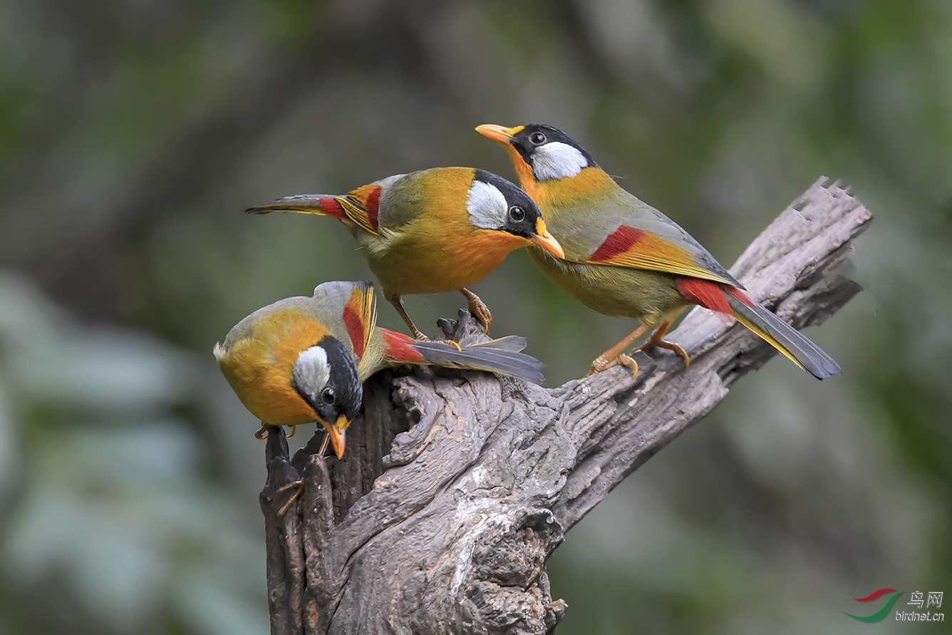 DSC_0152-2.jpg