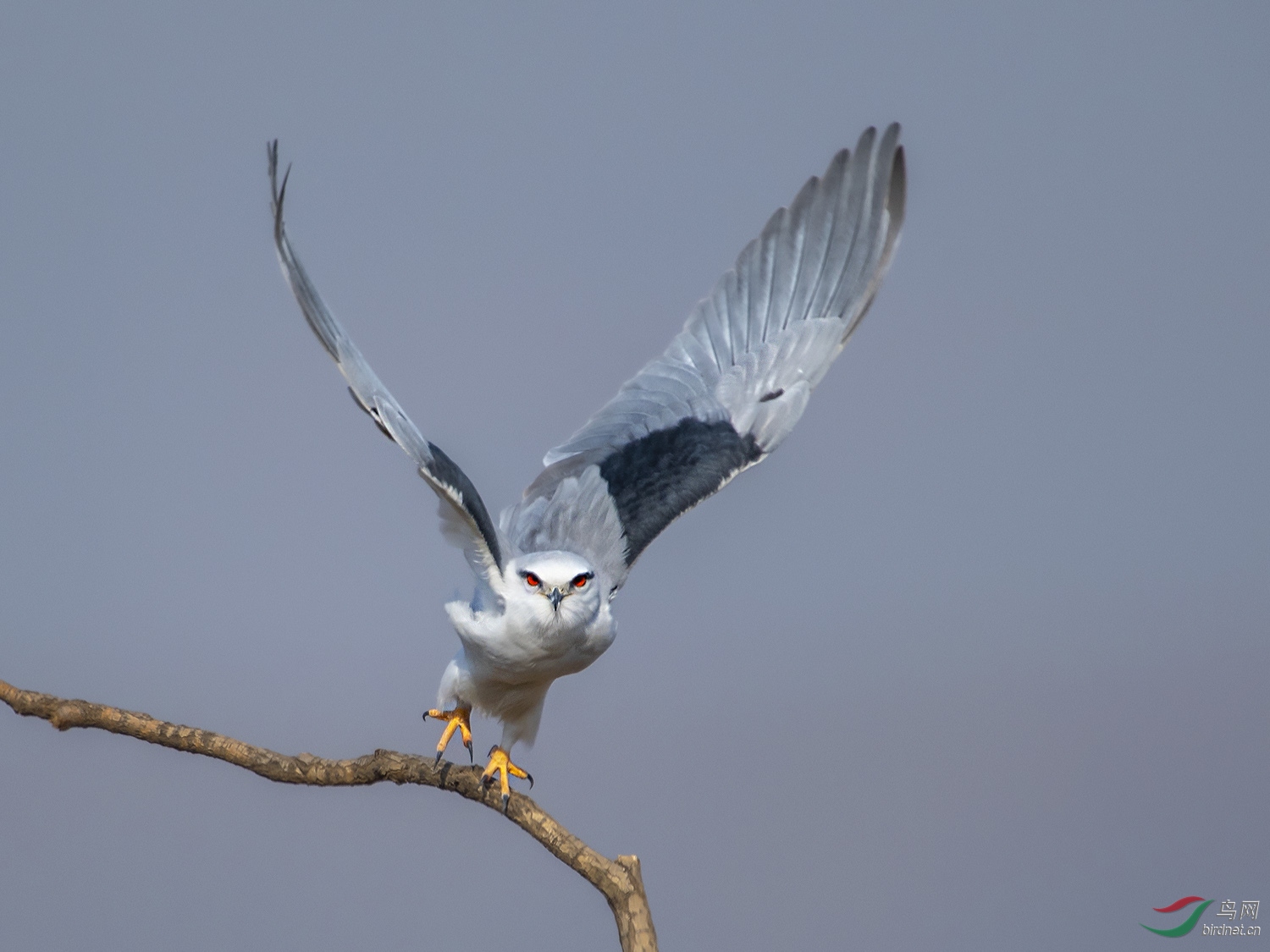 DSC_5380.jpg