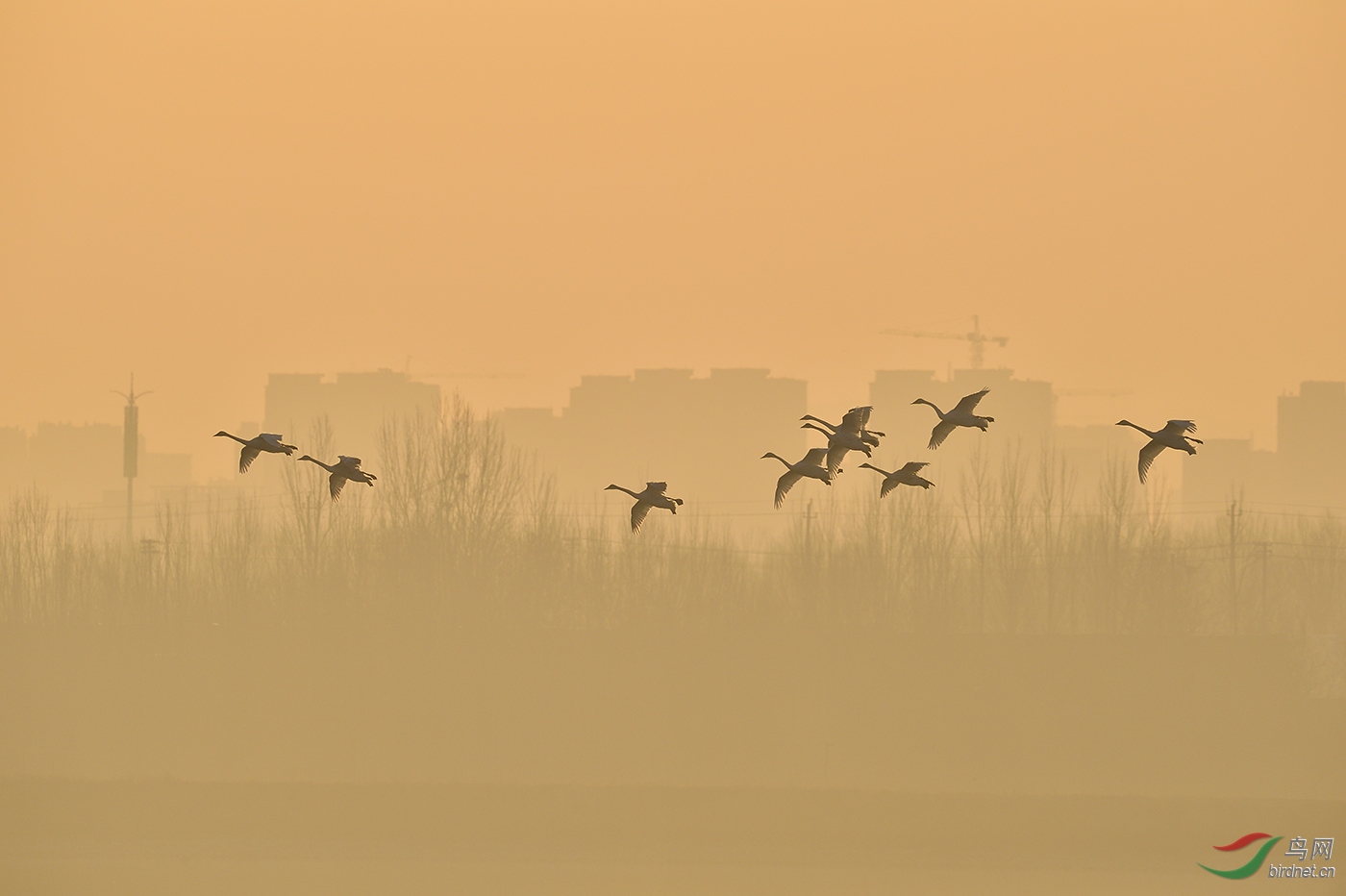 _D4S6478_15548a.jpg