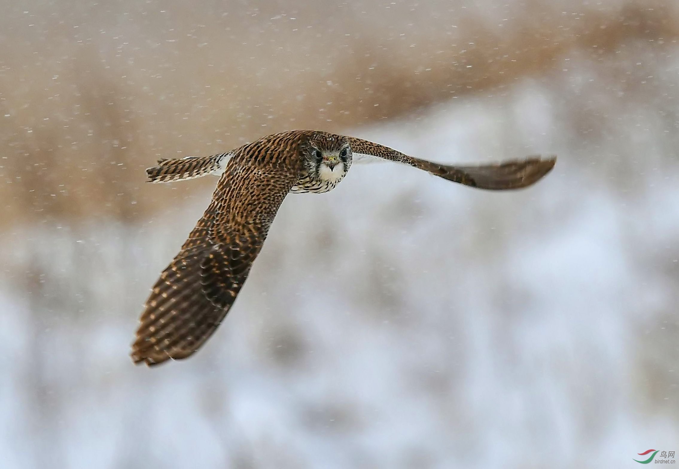 mmexport1577591083966.jpg