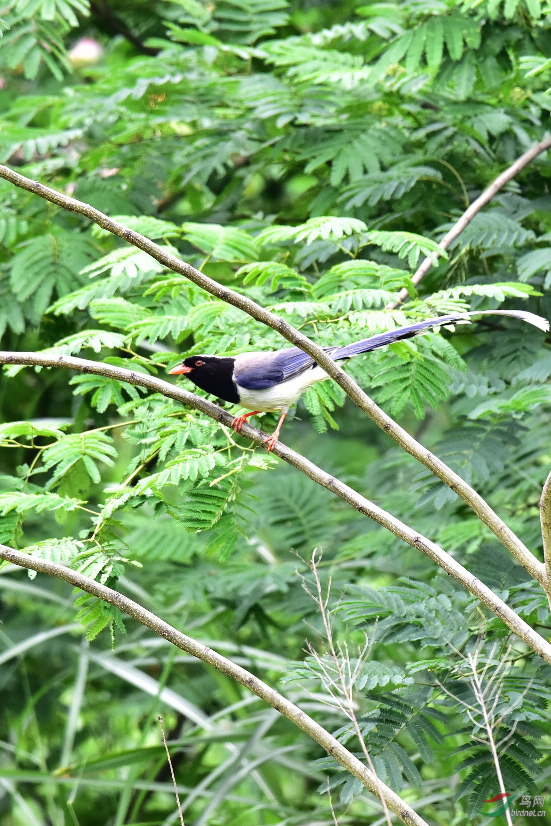 DSC_1169.JPG