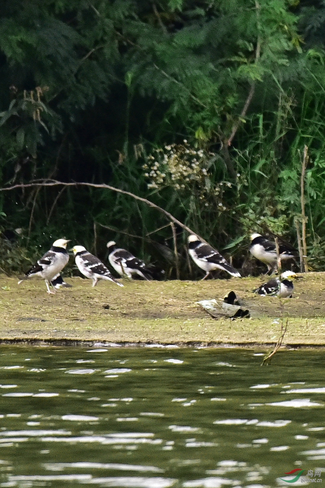 DSC_0740.JPG