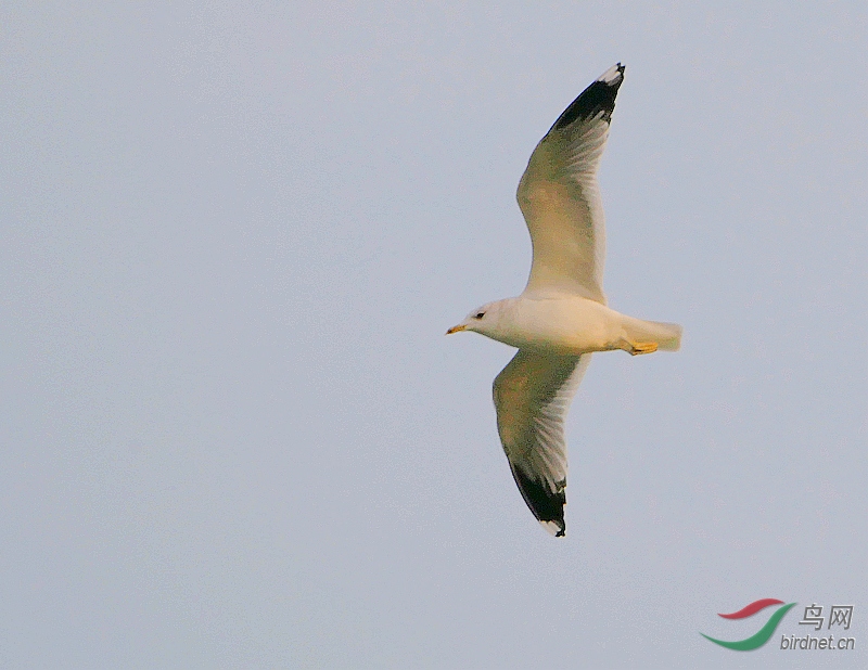 P4060493 - ����.JPG