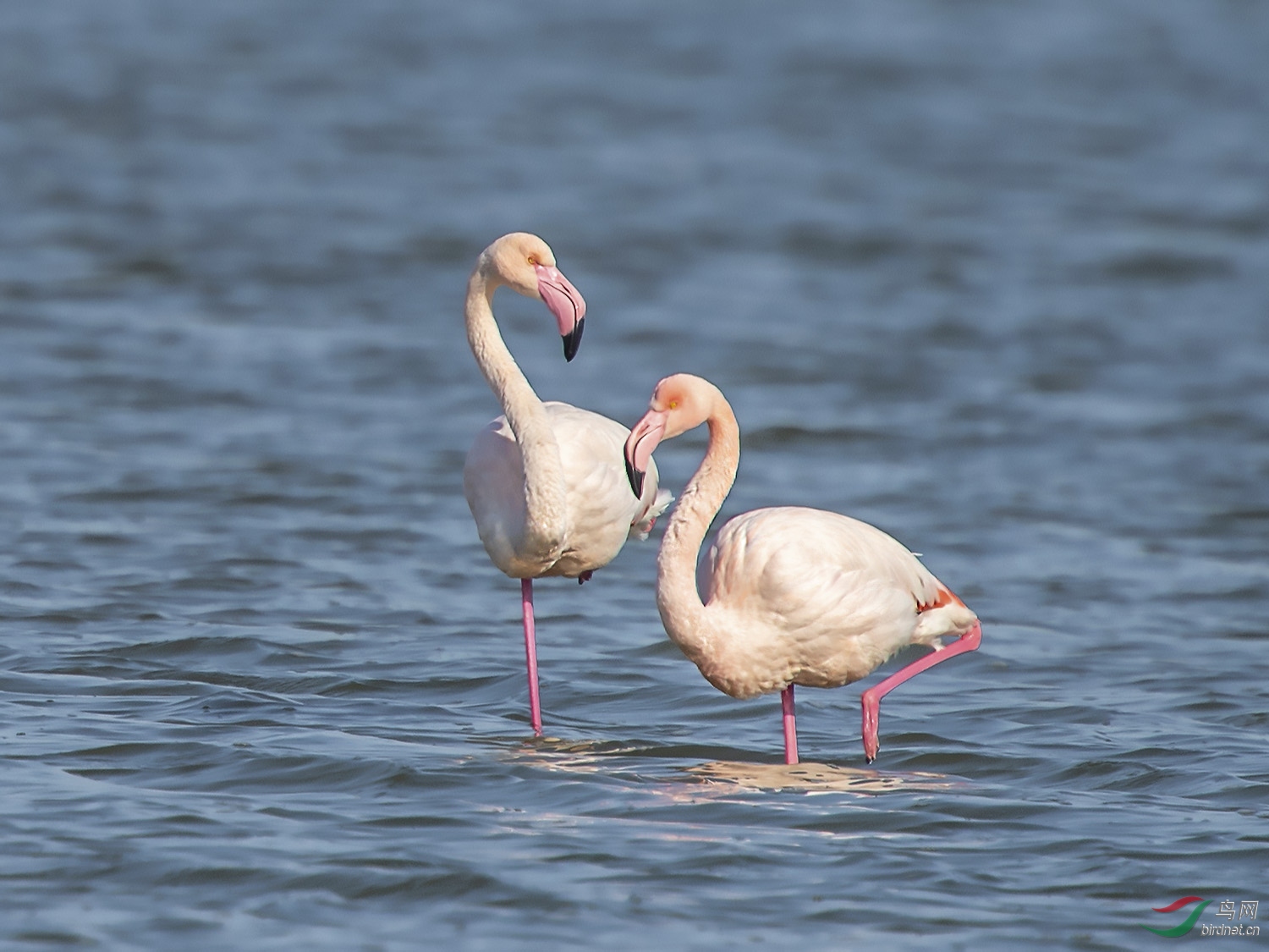 DSC_3420.jpg