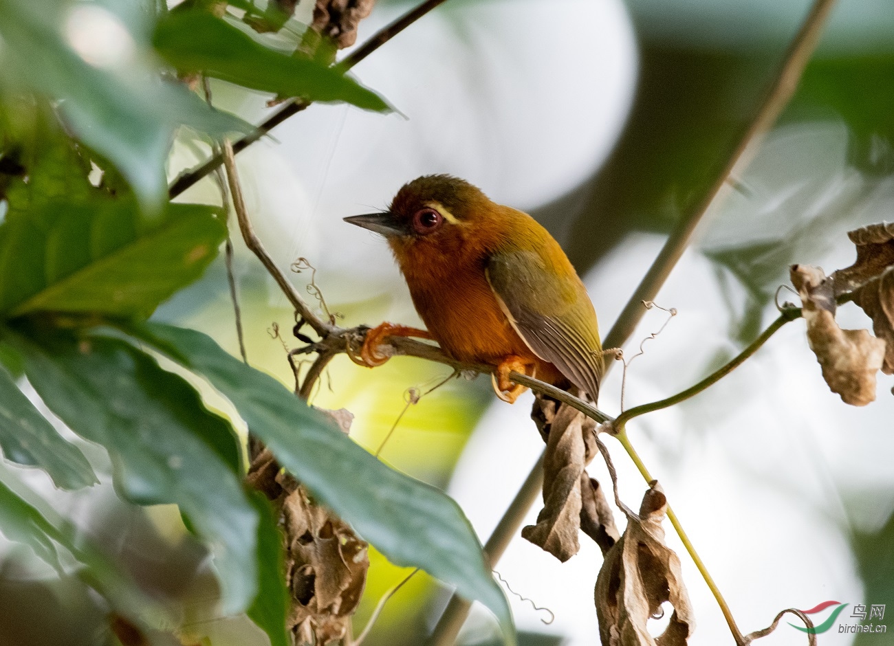 ��ü����ľ��