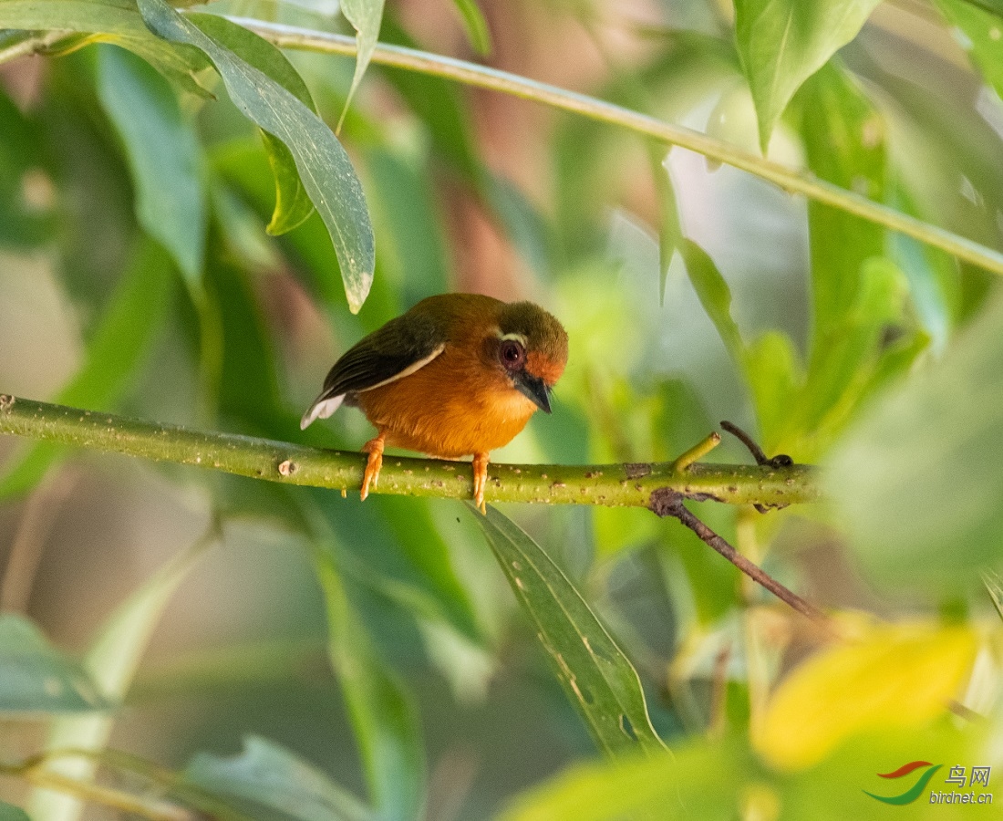 ��ü����ľ��