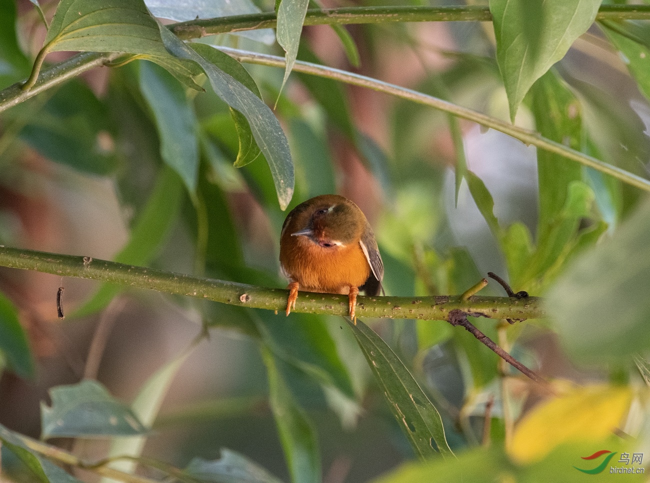 ��ü����ľ��