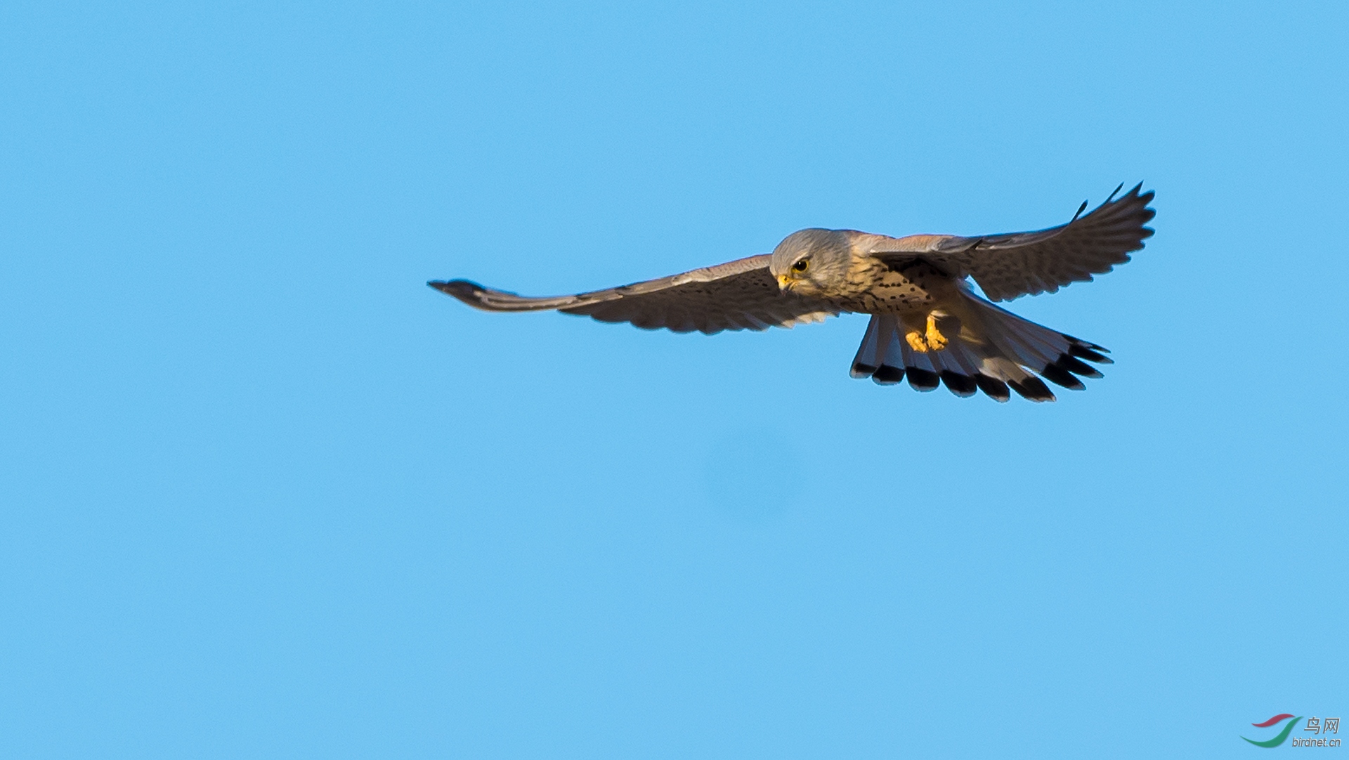 DSC_9067.jpg