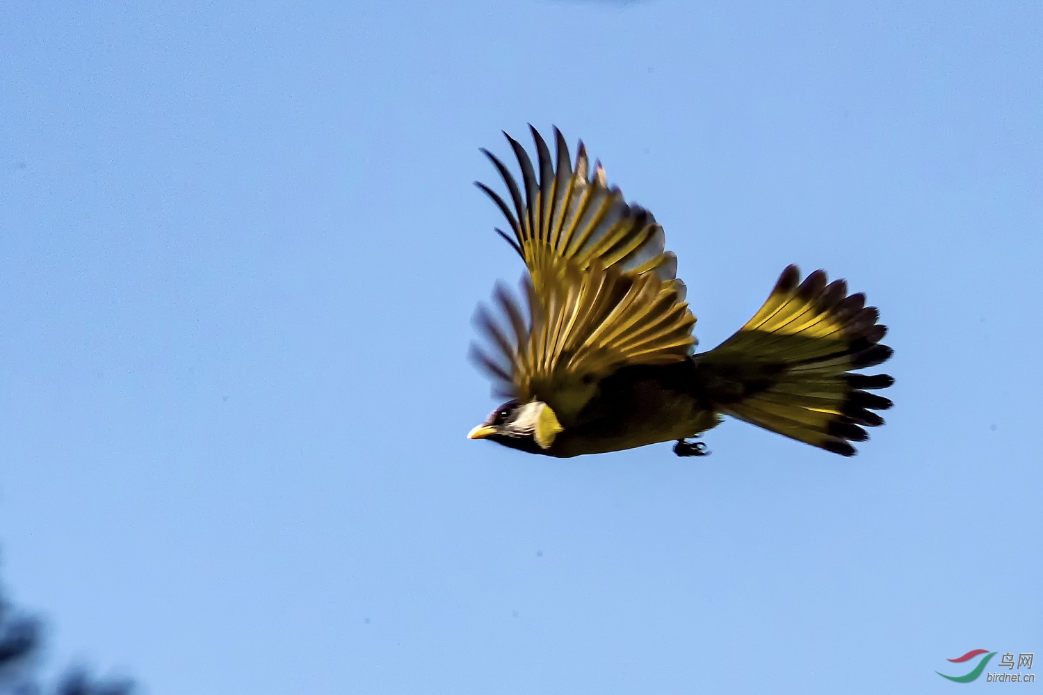 DSC_8569.jpg