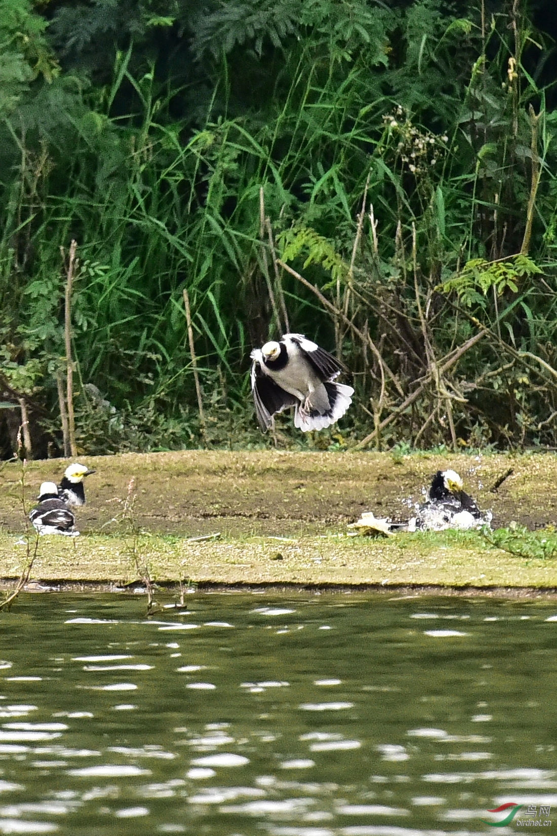 DSC_0741.JPG