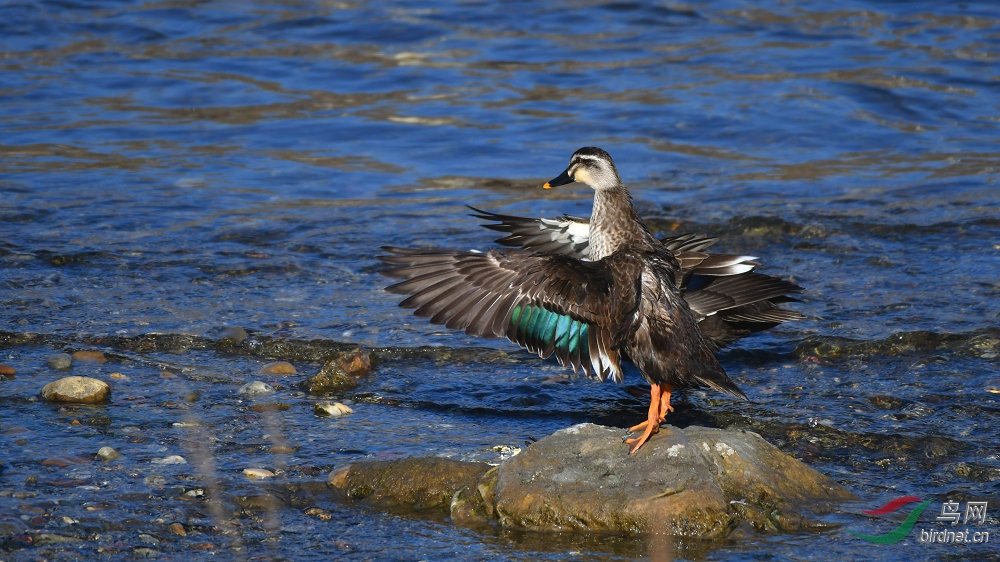 DSC_8449.jpg