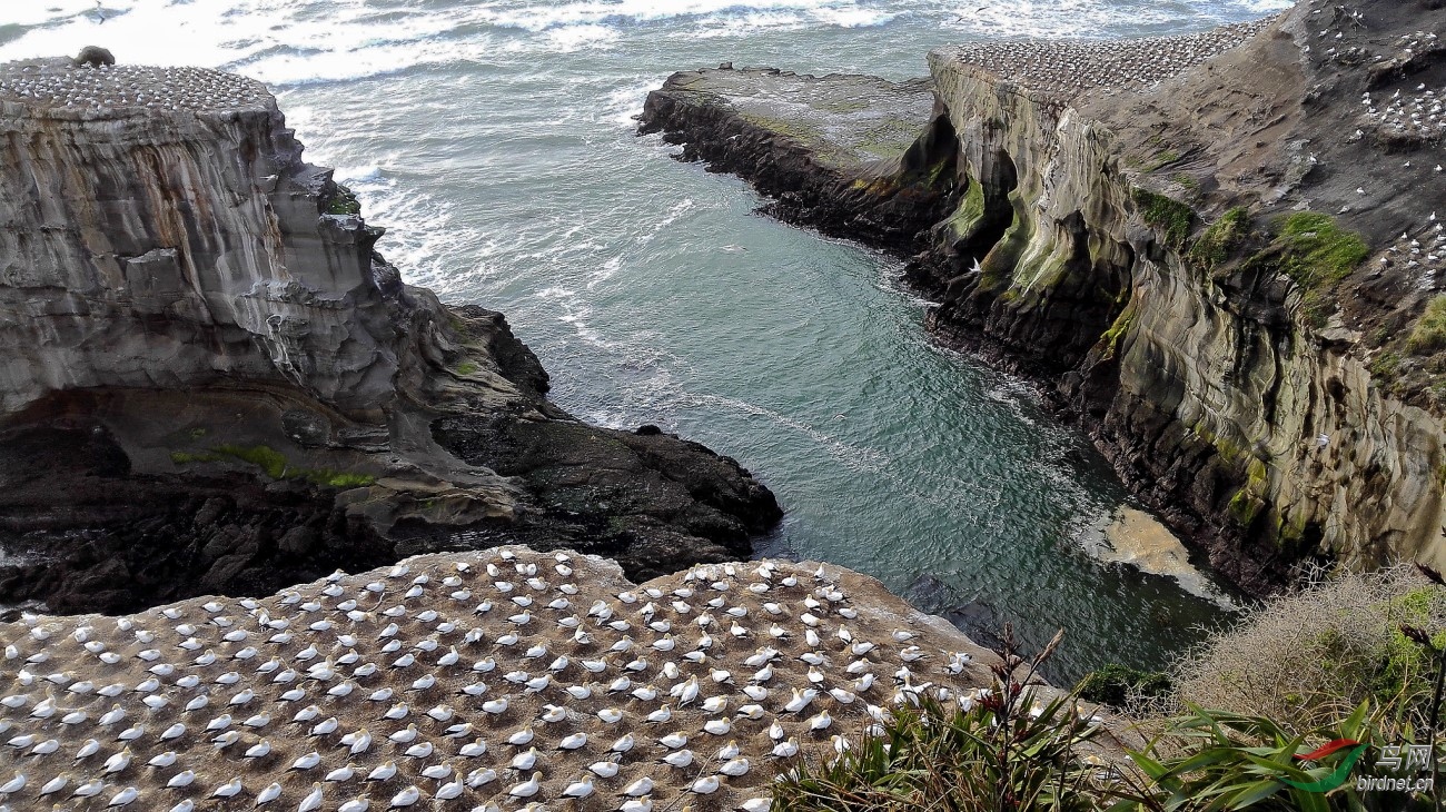 IMG_20161116_140724_����_DxO (����).jpg