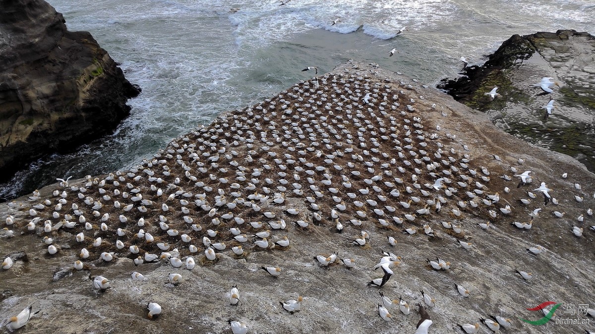 IMG_20161116_142512_����_DxO (����).jpg