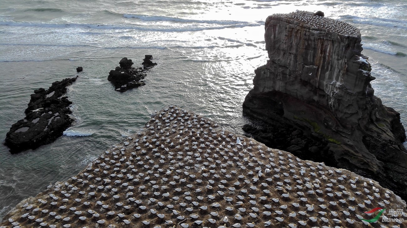 IMG_20161116_140703_����_DxO (����).jpg