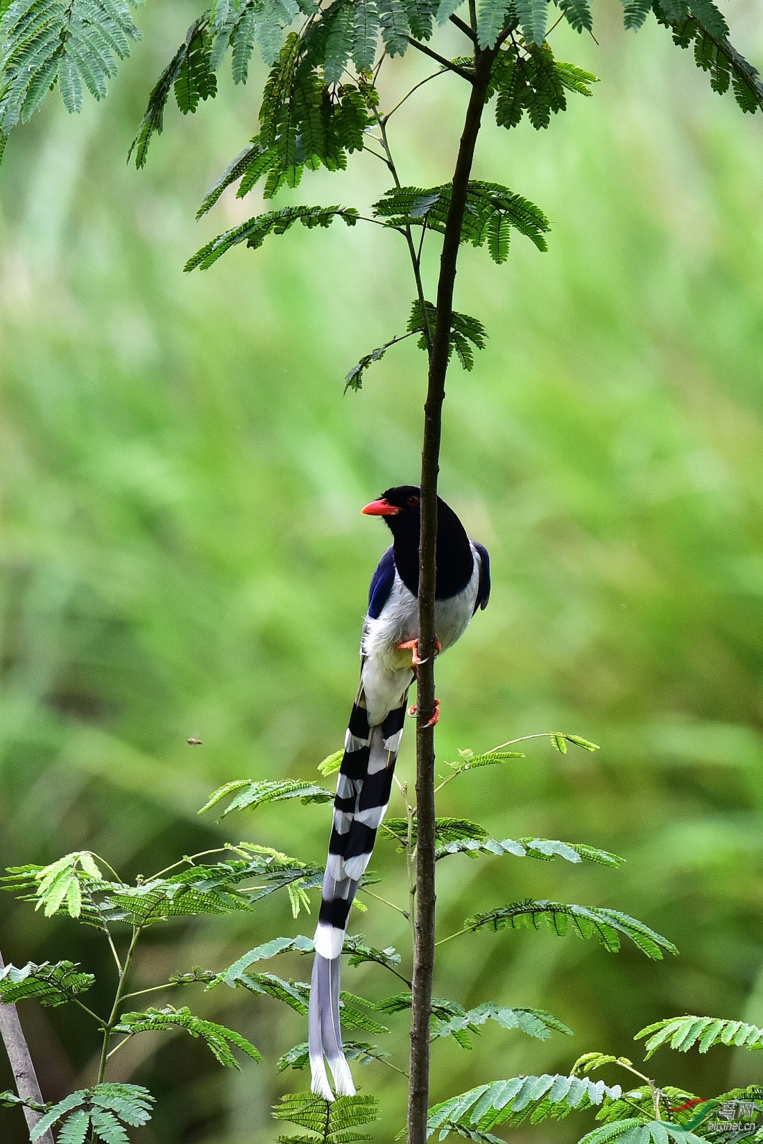 DSC_1174.JPG