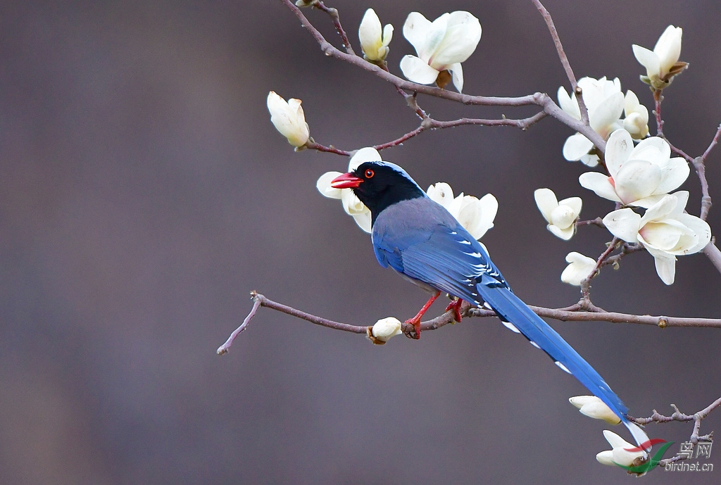 1DSC_2043.jpg