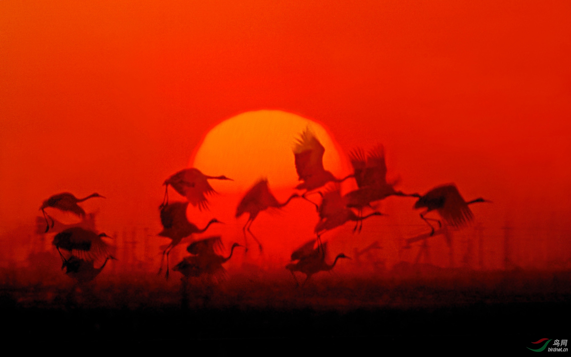 010�����ء�.����ΰ��Ƭ���� .jpg