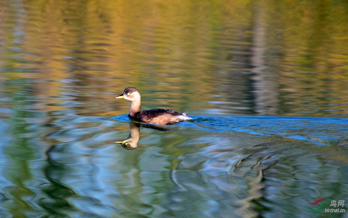 DSC_1361.JPG