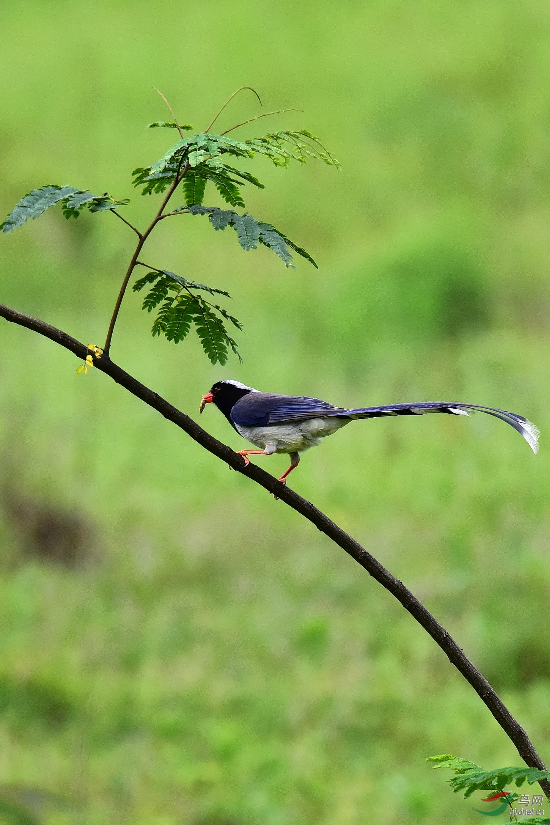 DSC_1175.JPG