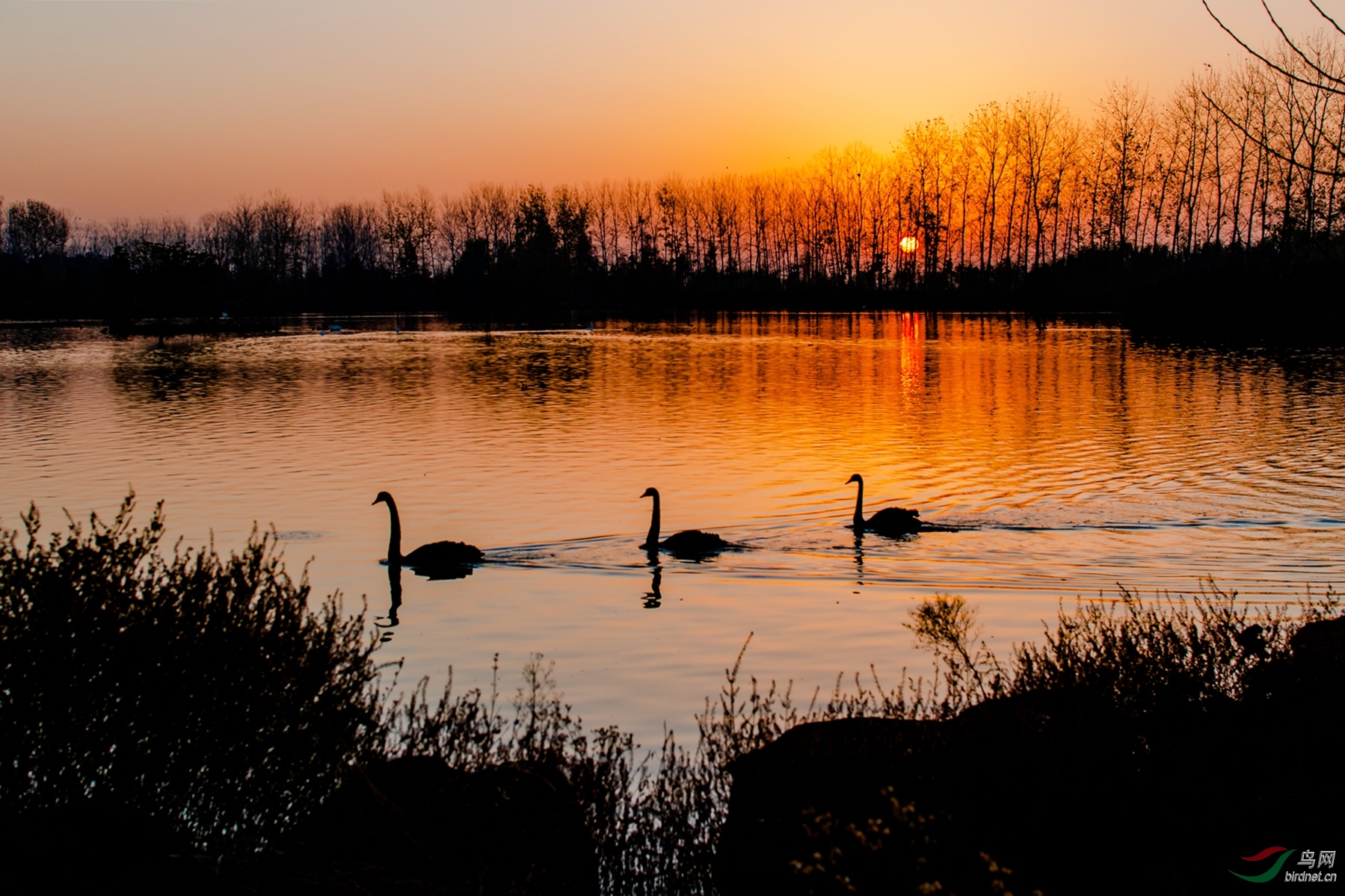 DSC_9984.JPG