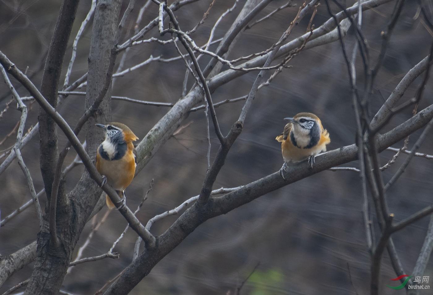 DSC_0374.jpg