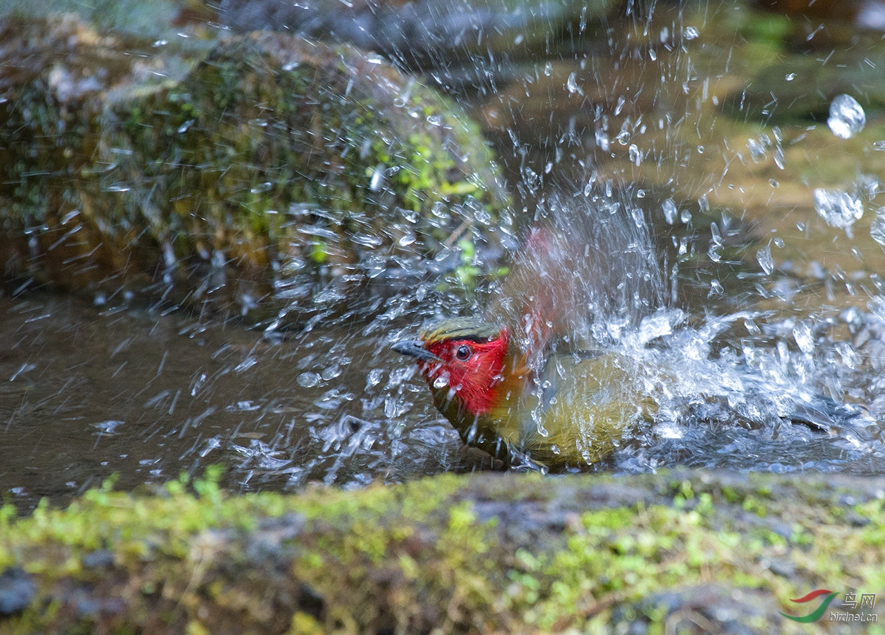 DSC_7129.jpg